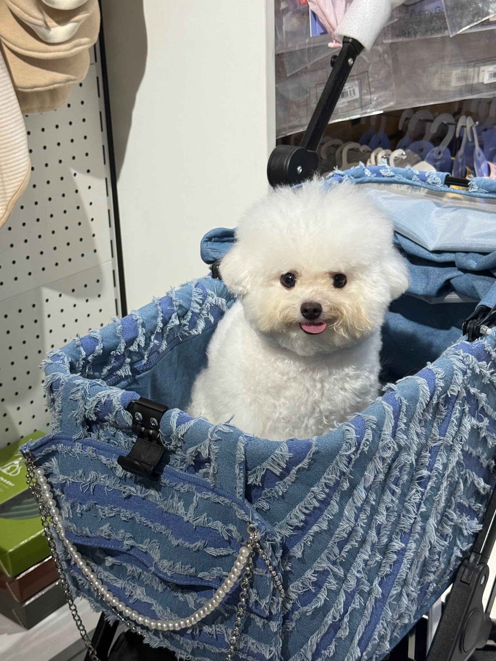 PuppyCandy Pet Shop & Salon