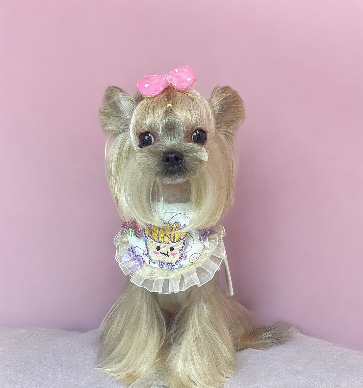 PuppyCandy Pet Shop & Salon
