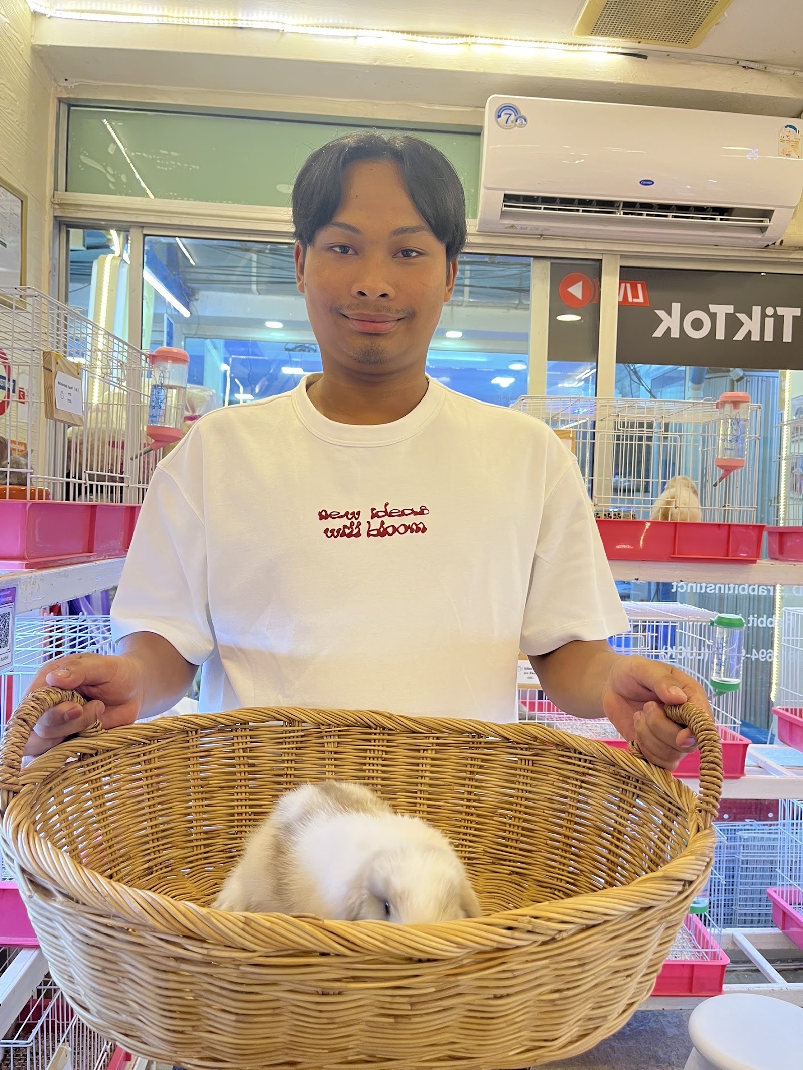 Rabbit instinct