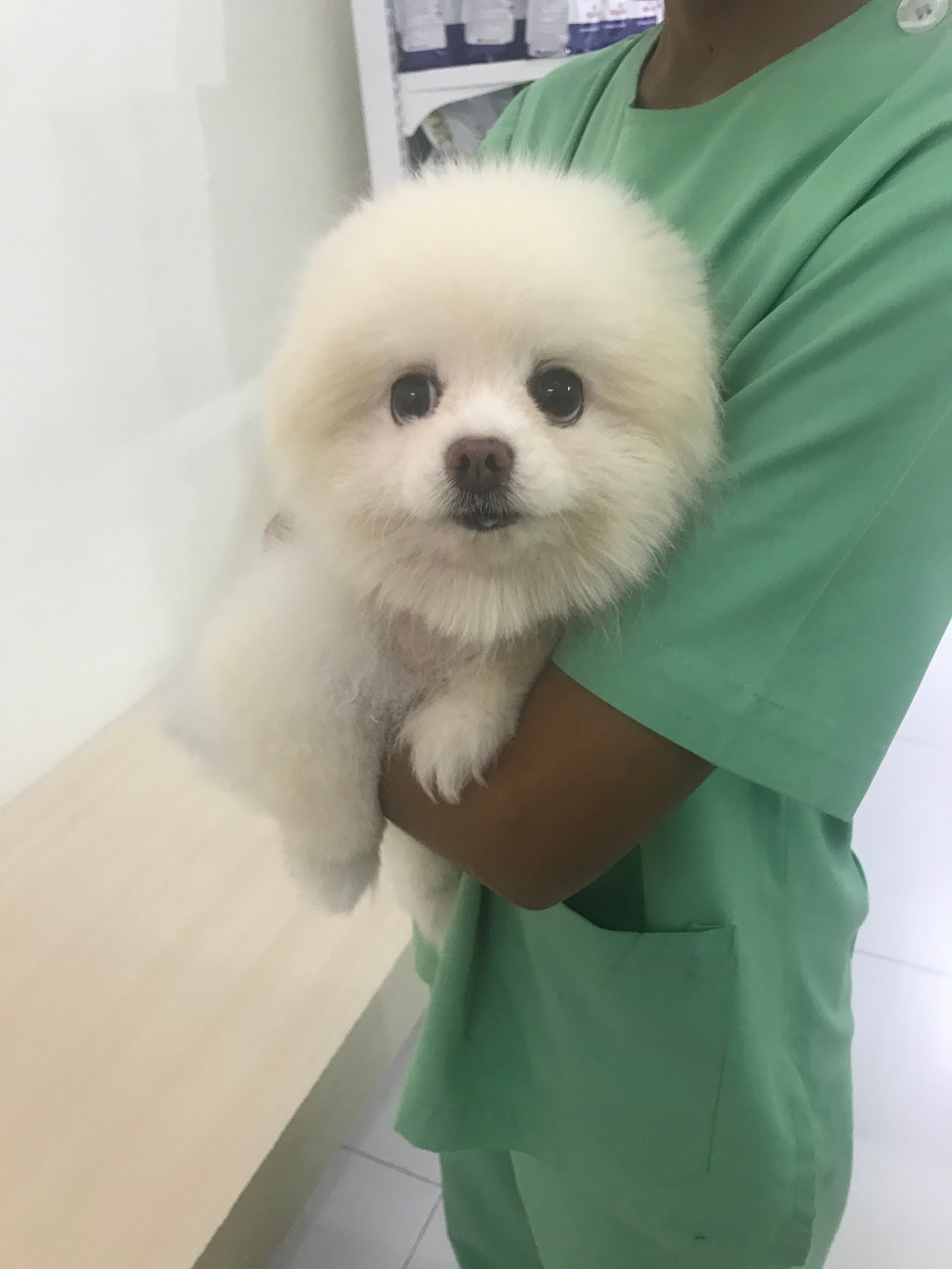 Ratchada Pet Hospital
