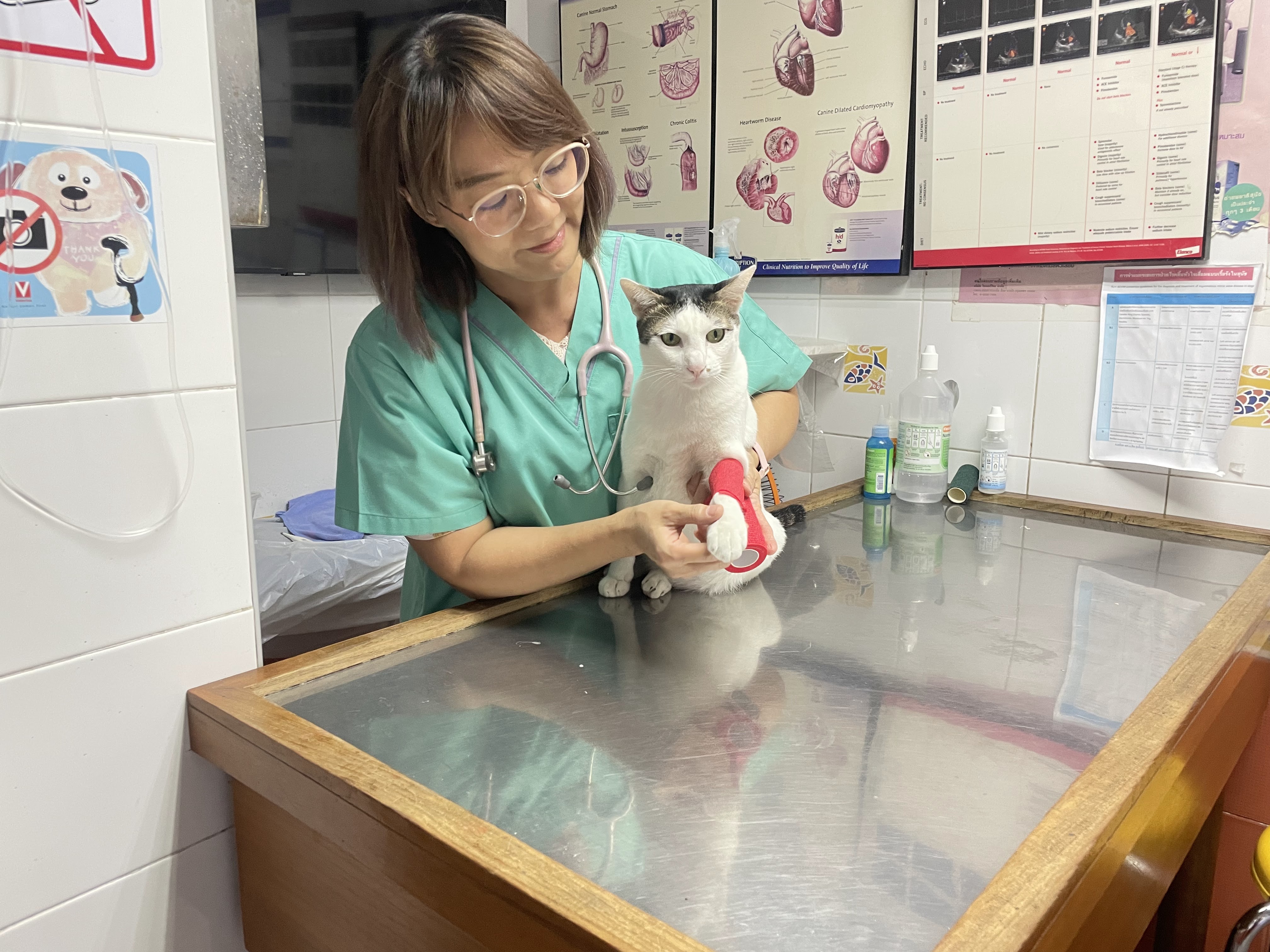 S. O. S. Animal Hospital