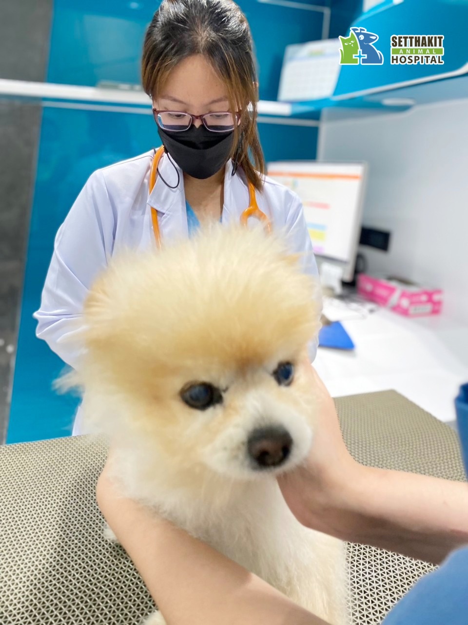 Setthakit Animal Hospital