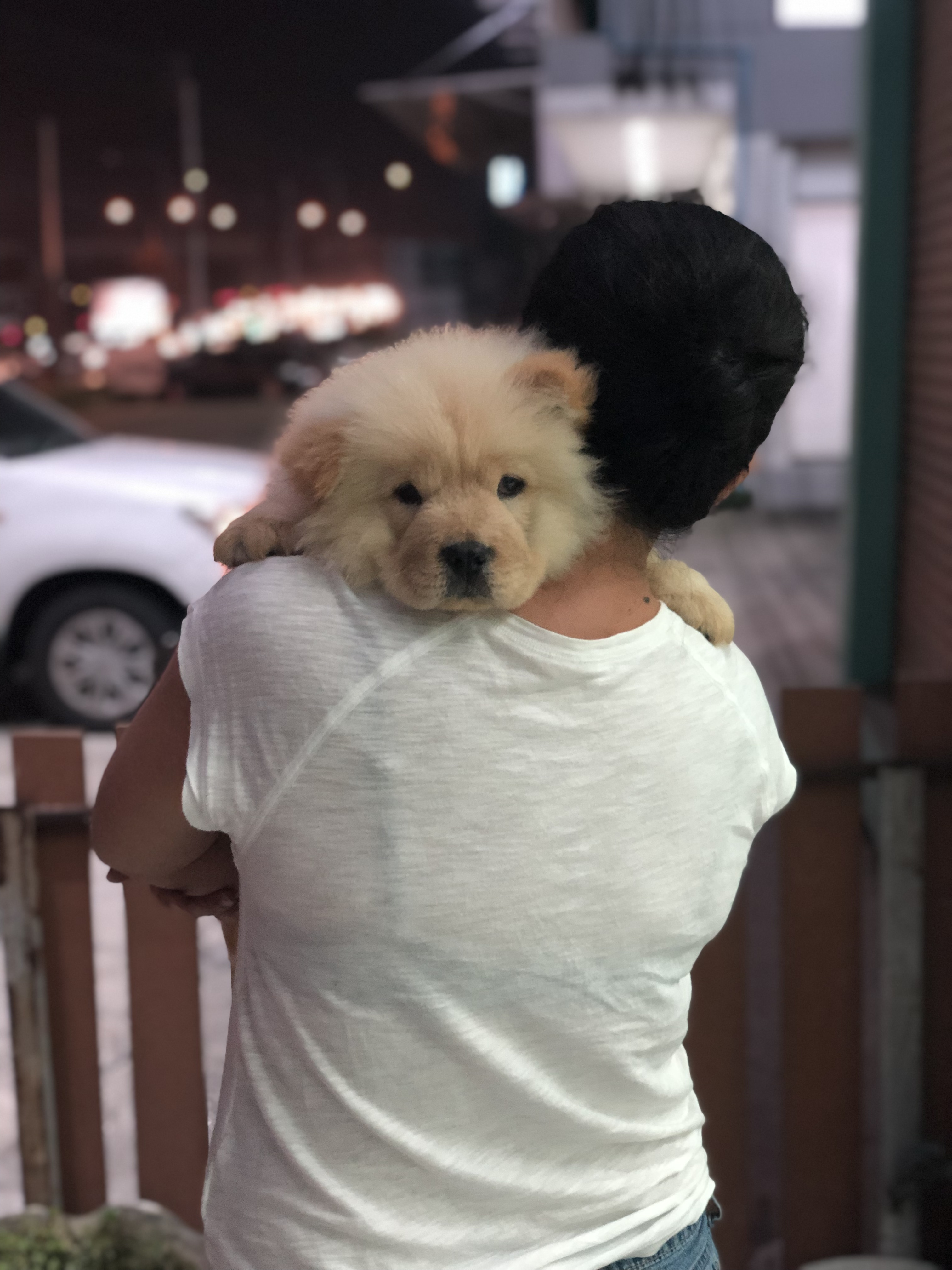 SK Animal Hospital
