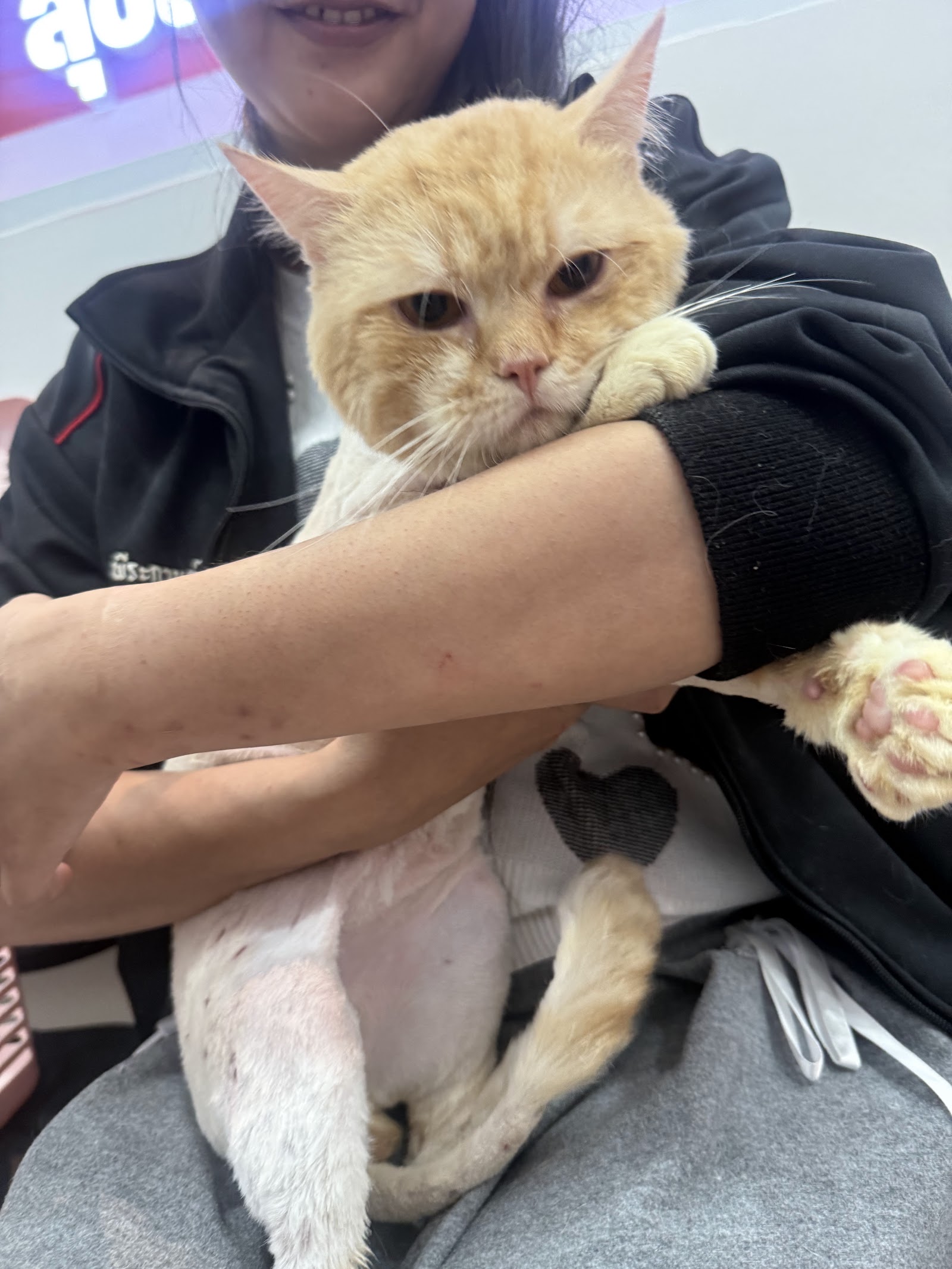 Suksamai Animal Care