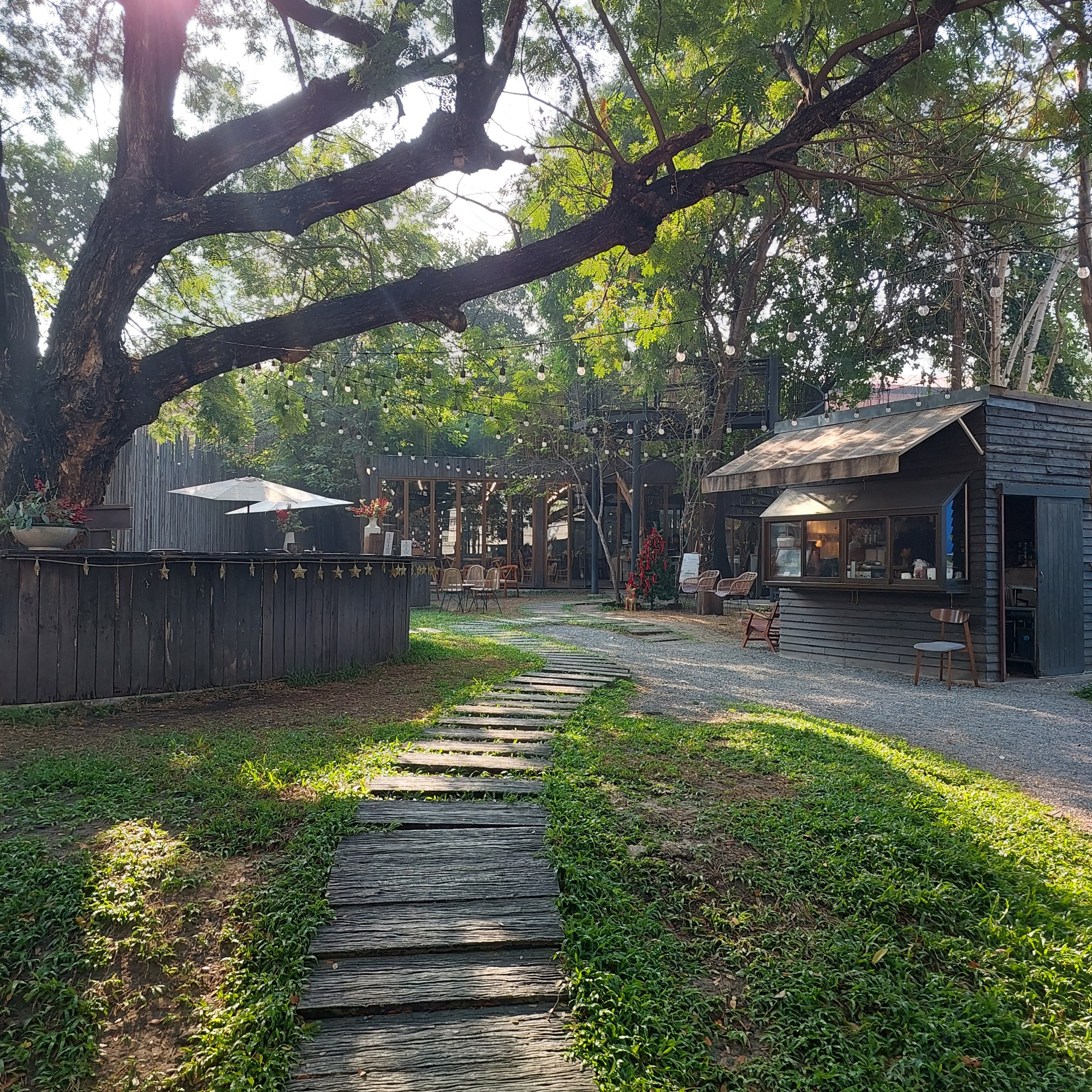 THE WOOD LAND