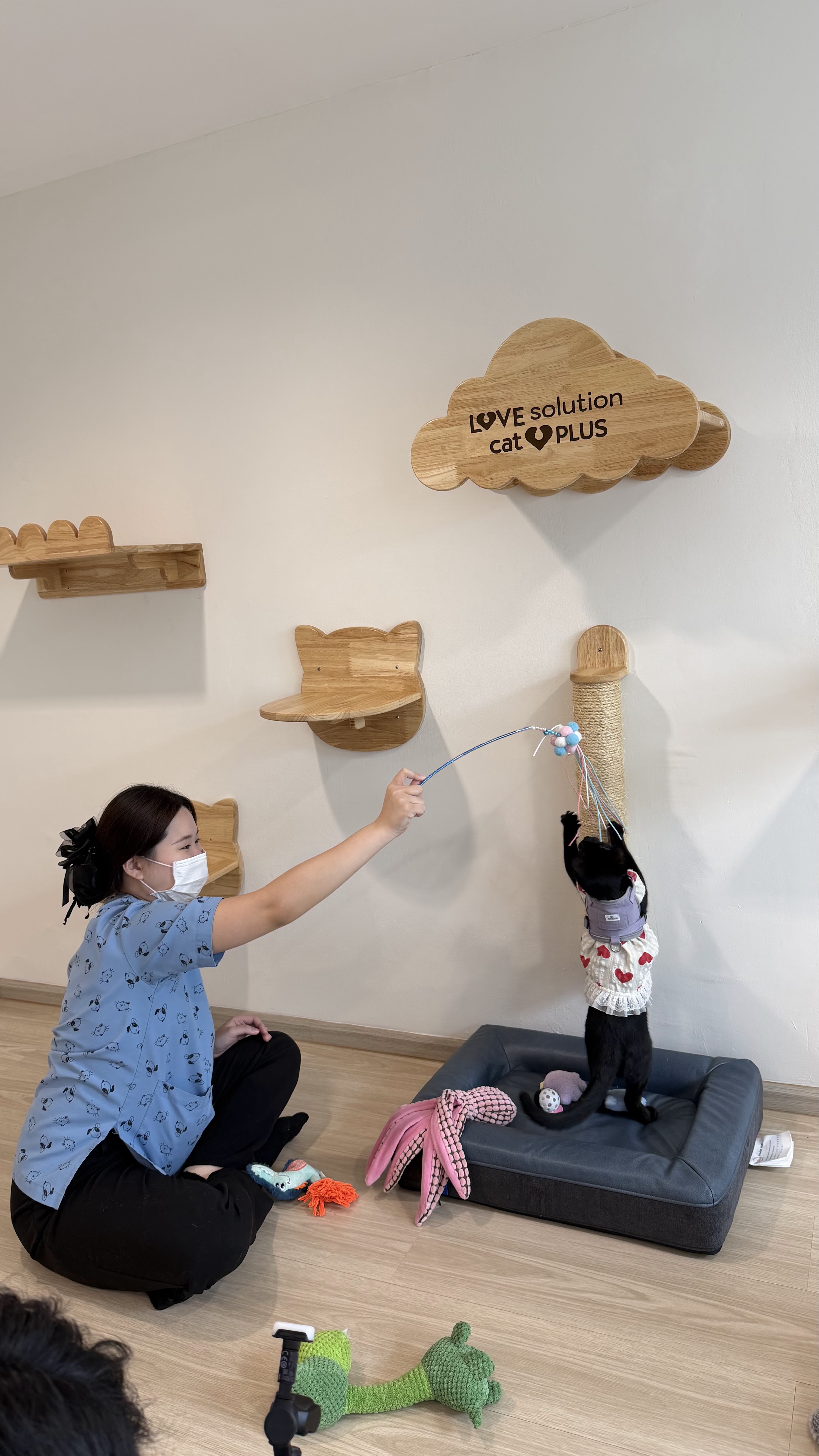 Thonglor Pet Hospital Asoke - Prasarnmit
