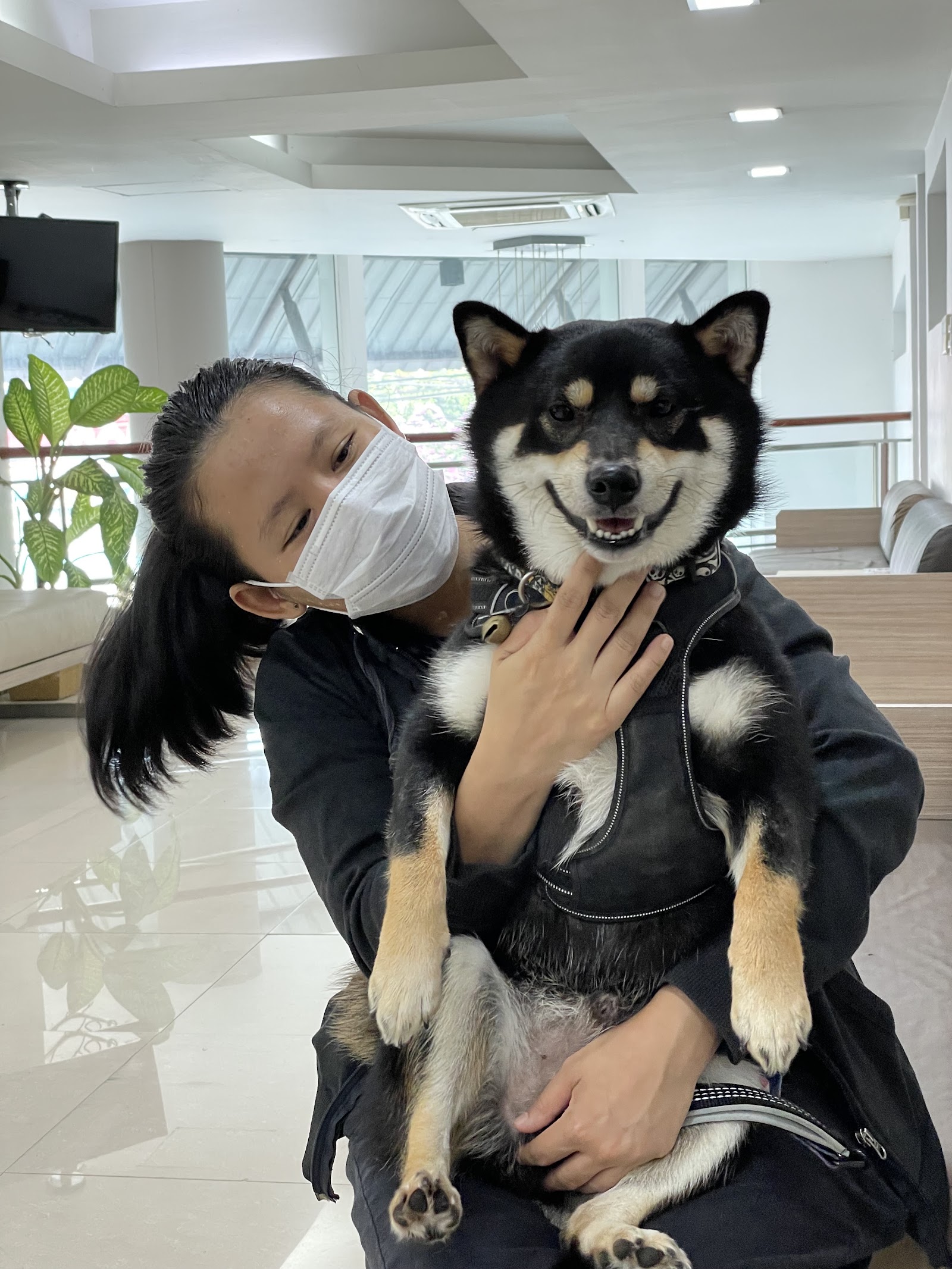 Thonglor Pet Hospital Pinklao