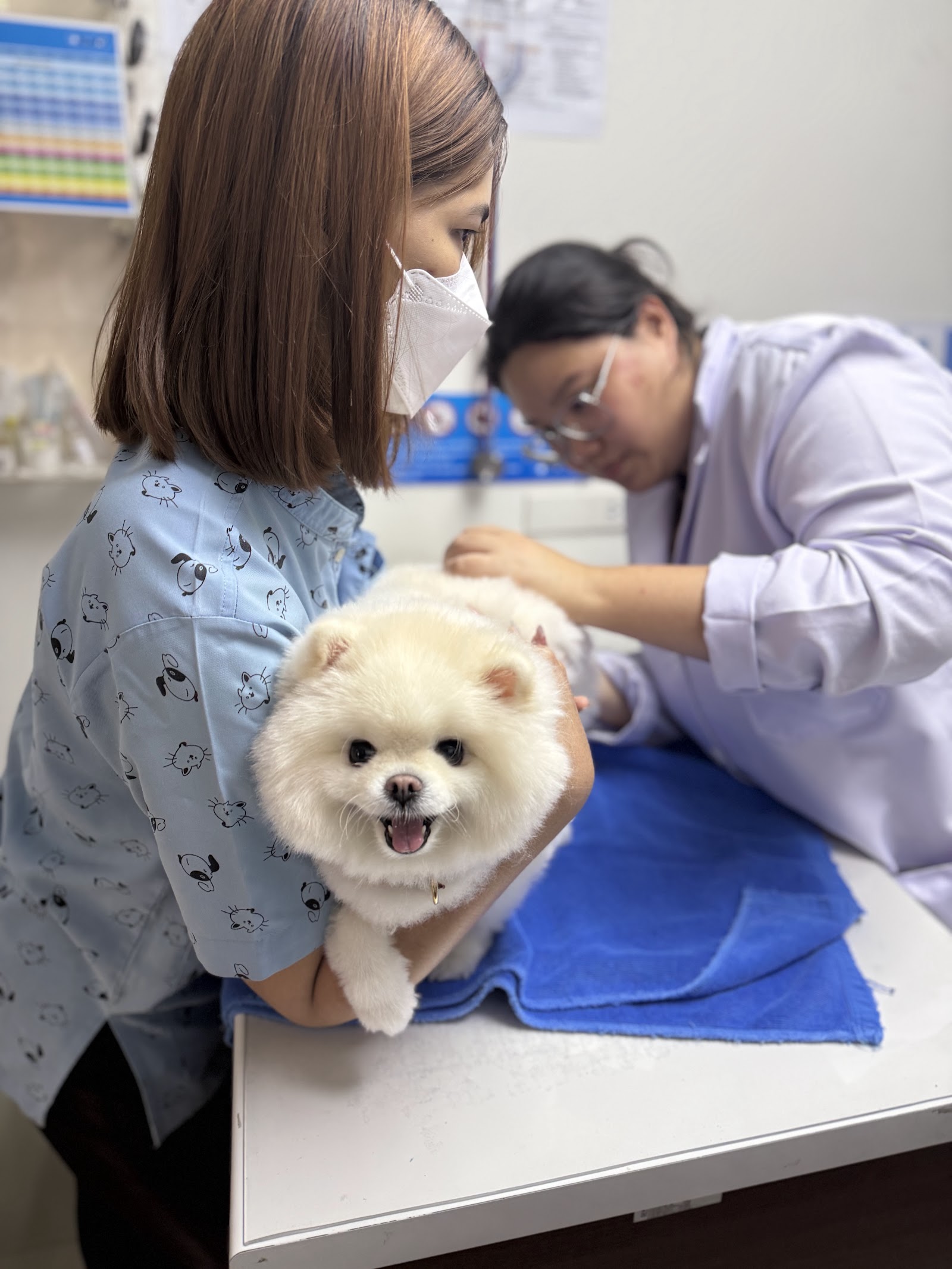 Thonglor Pet Hospital Rama 2
