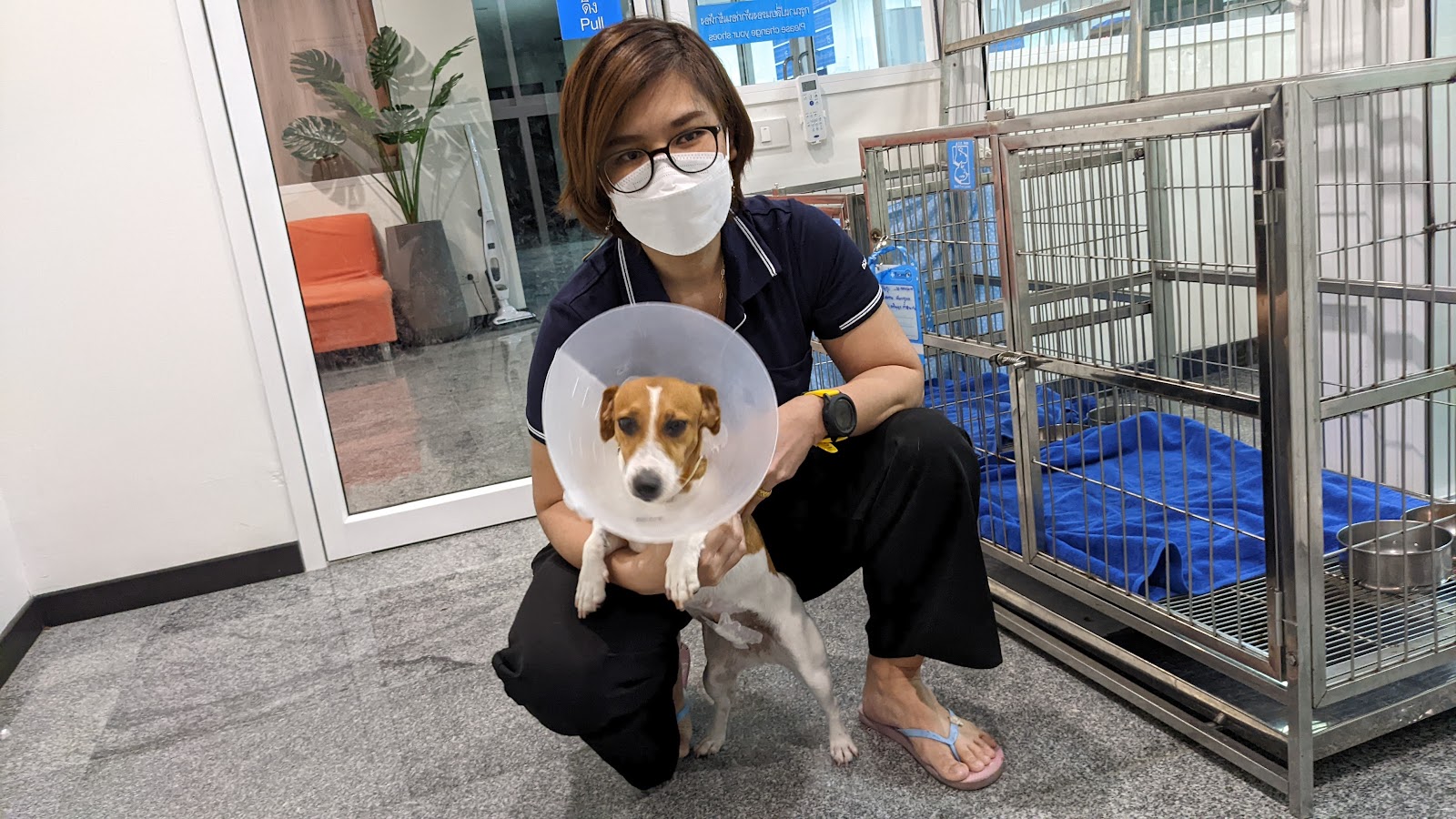 Thonglor Pet Hospital Srinakarin
