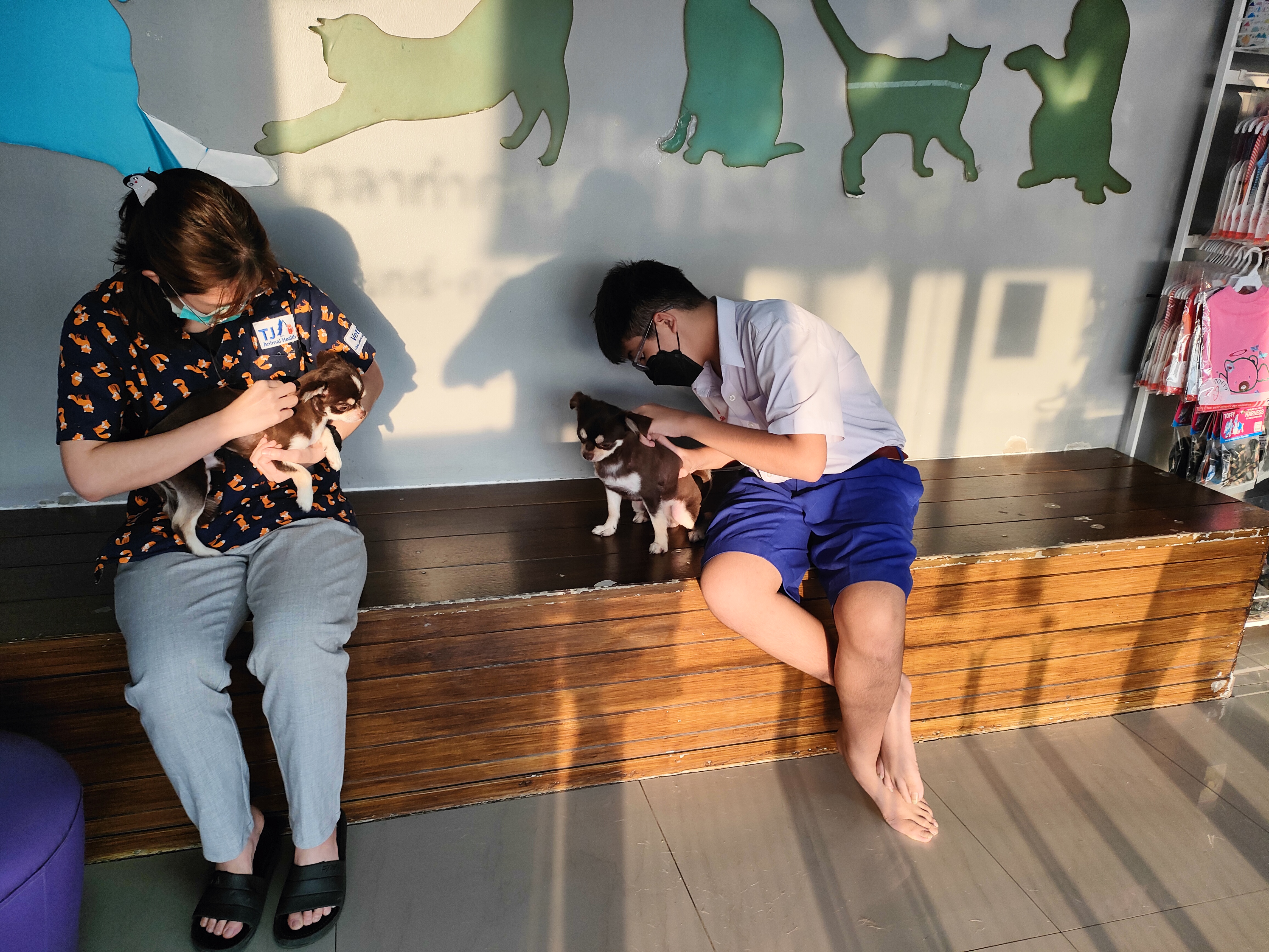 VET CARE ANIMAL HOSPITAL