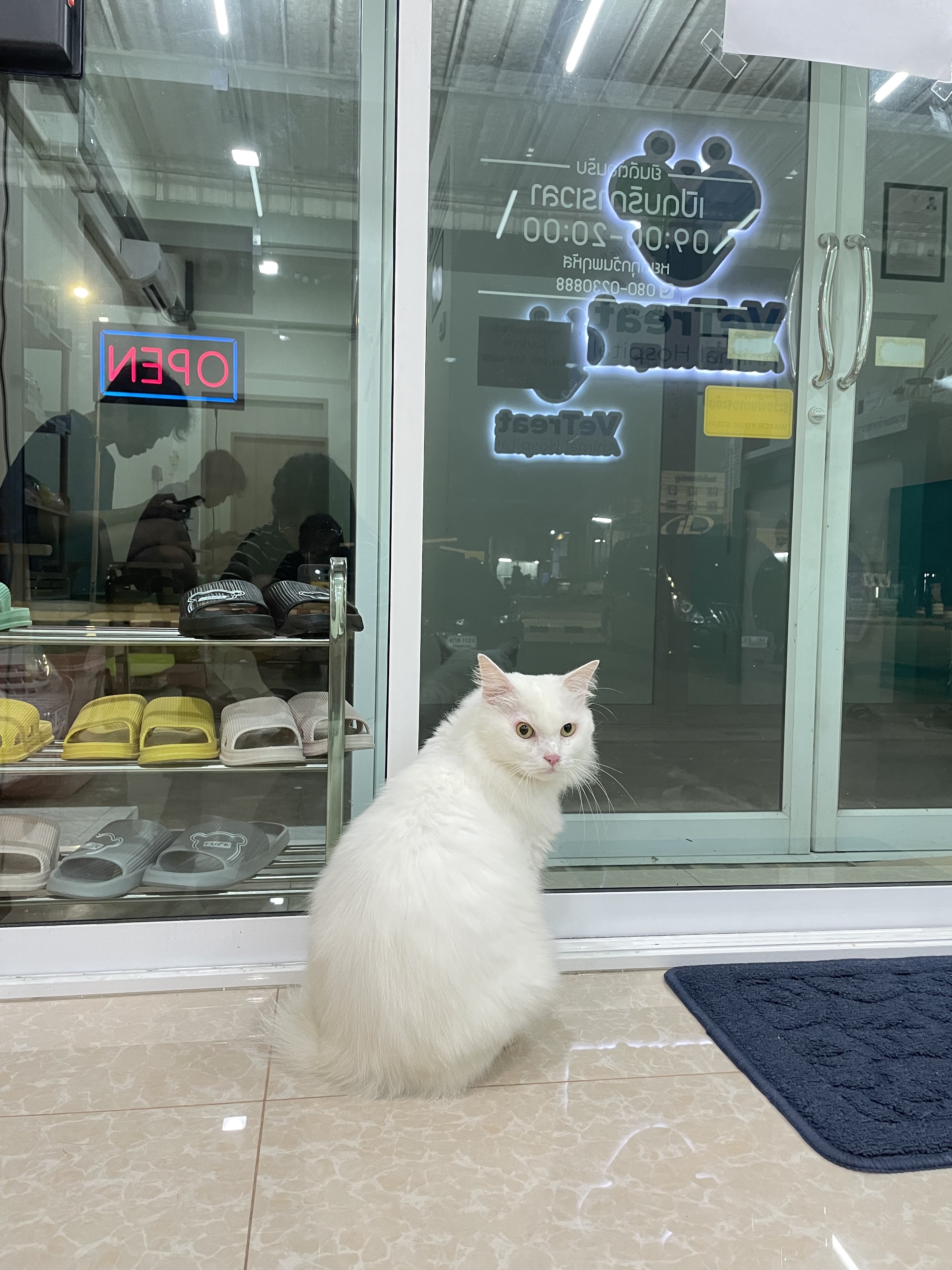 VeTreat Animal Hospital