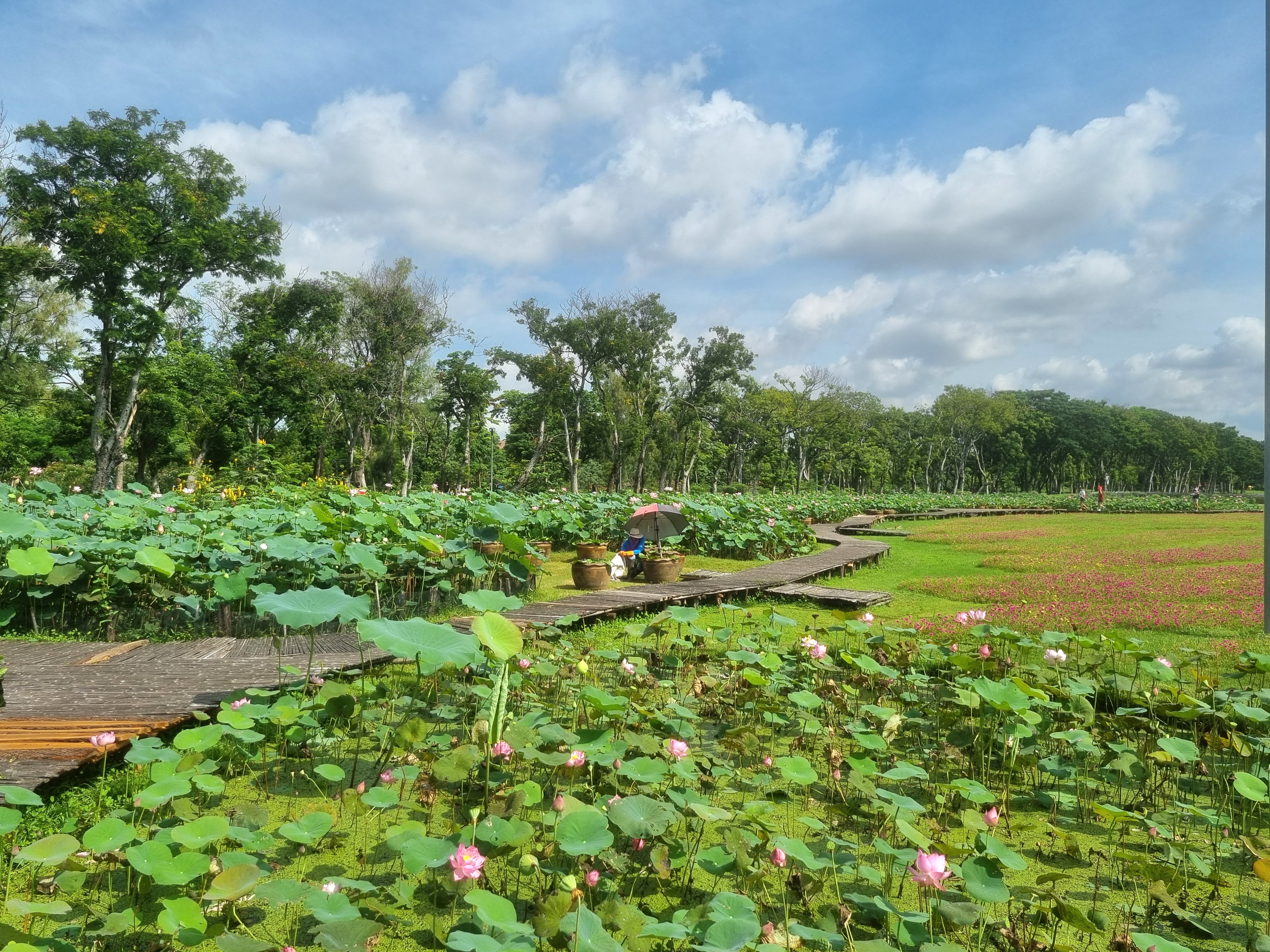 Wachirabenchathat Park (State Railway Park)