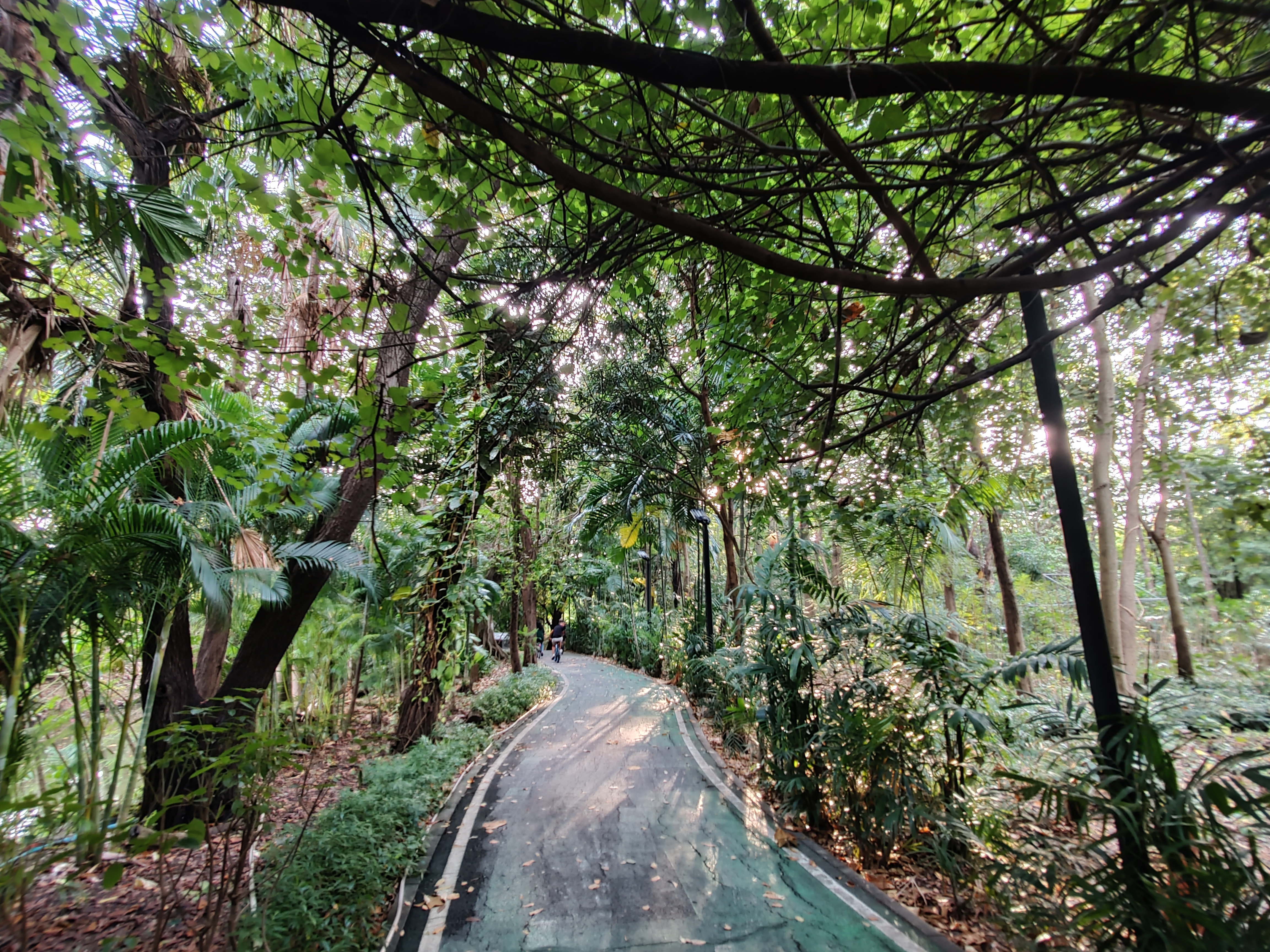 Wachirabenchathat Park (State Railway Park)