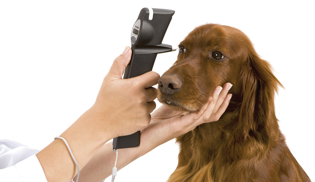 Watsai Animal Hospital