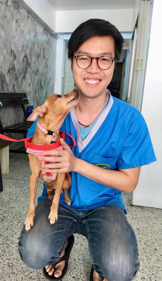 We Care Pet Clinic
