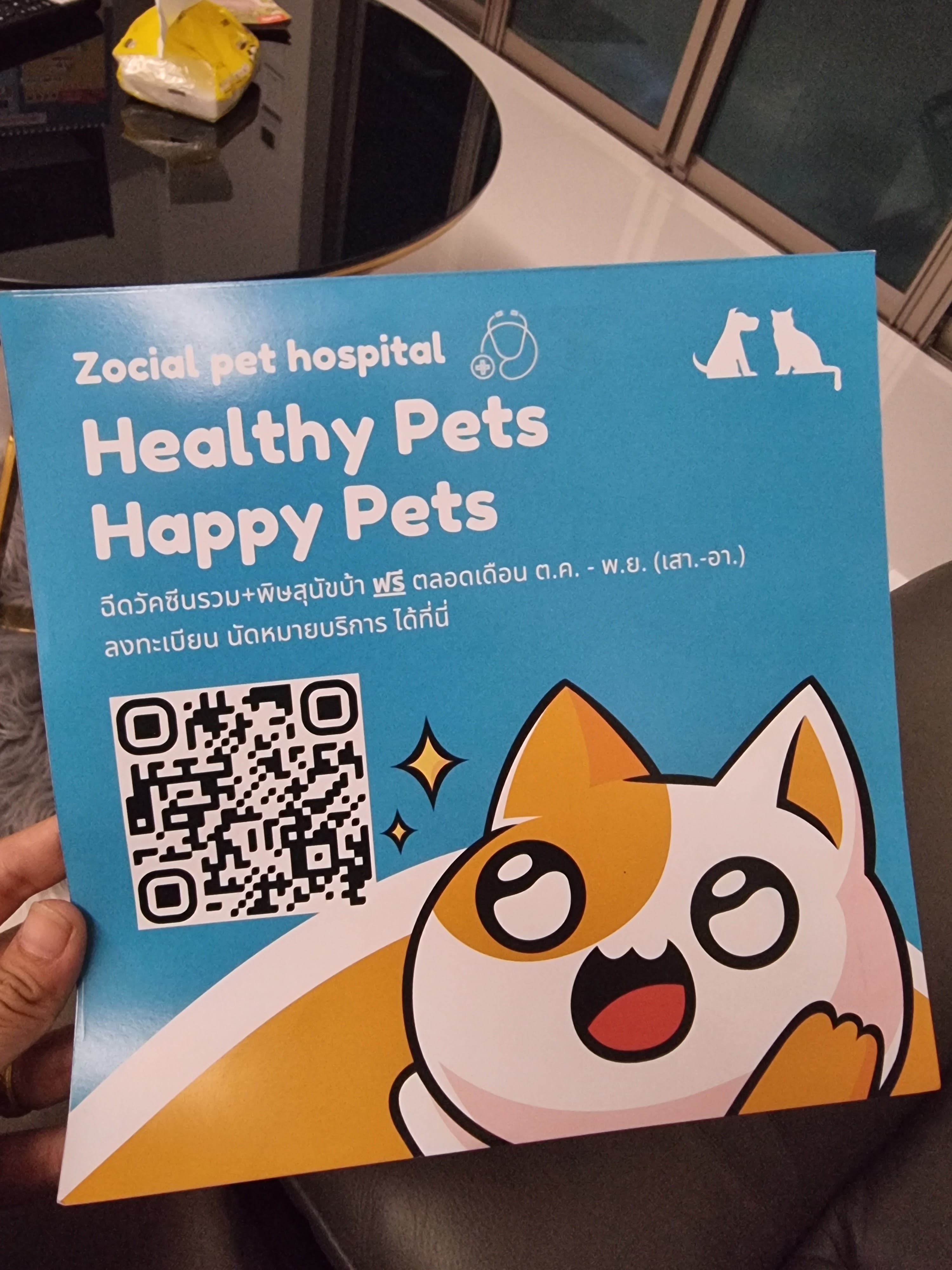 Zocial pet hospital