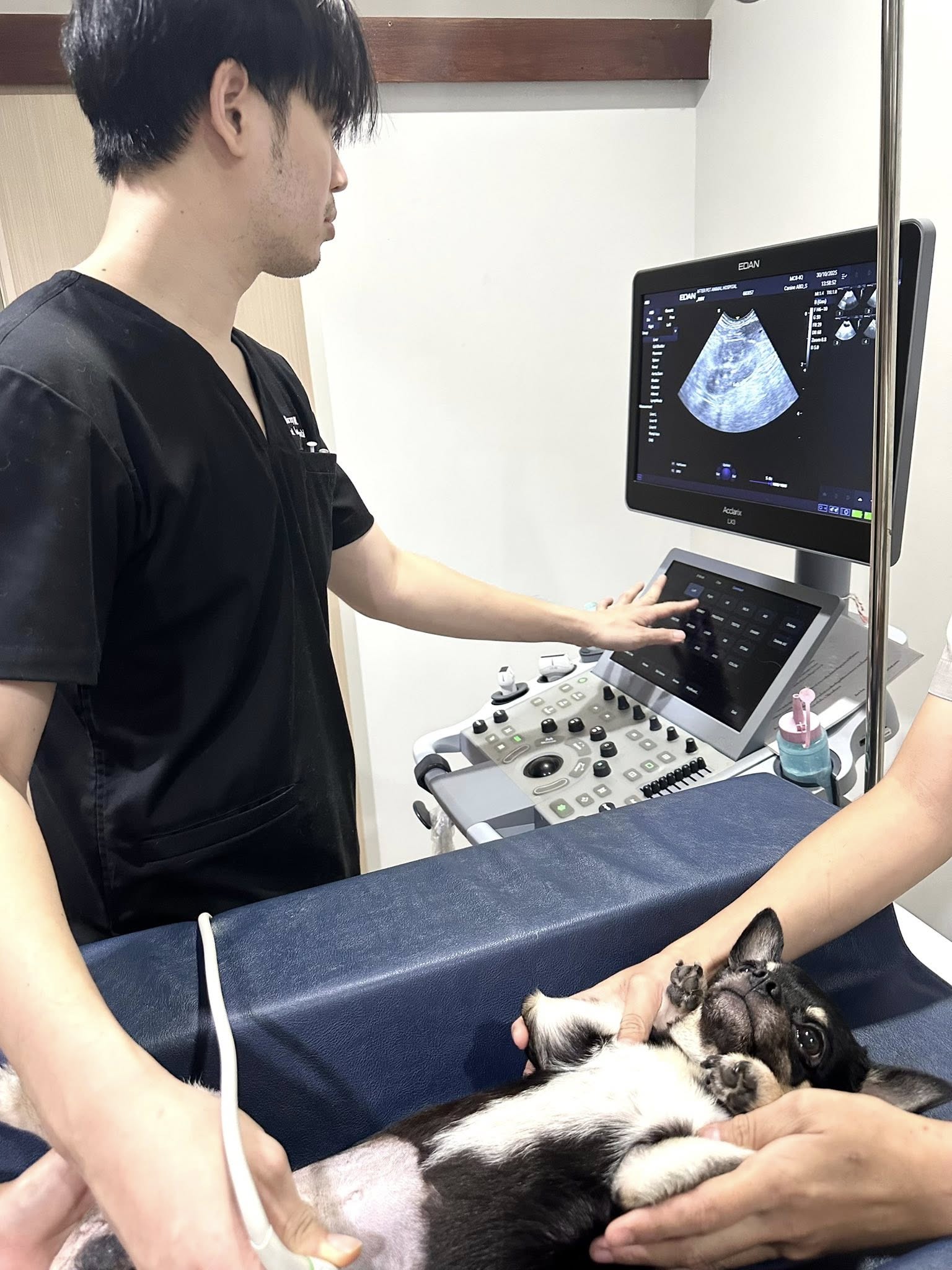 Afterpet Animal Hospital