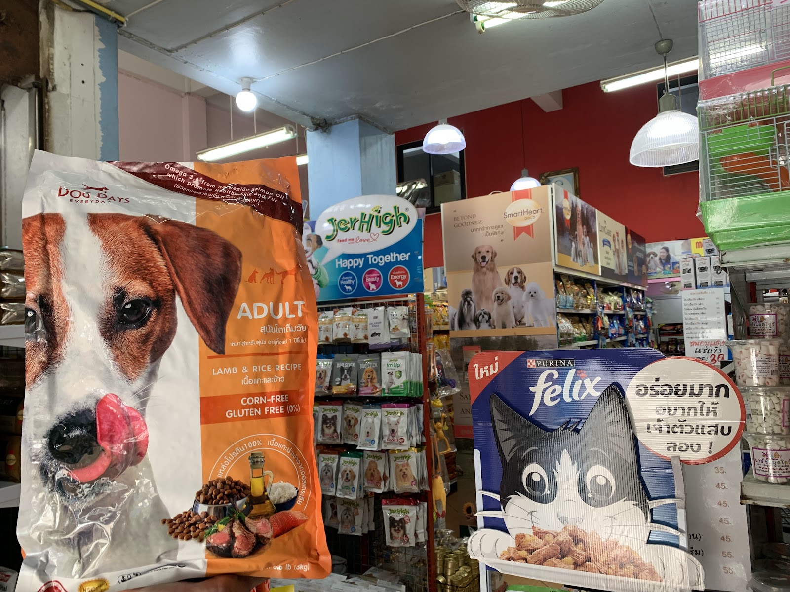 Nana Pet Care (Doctor Kong)