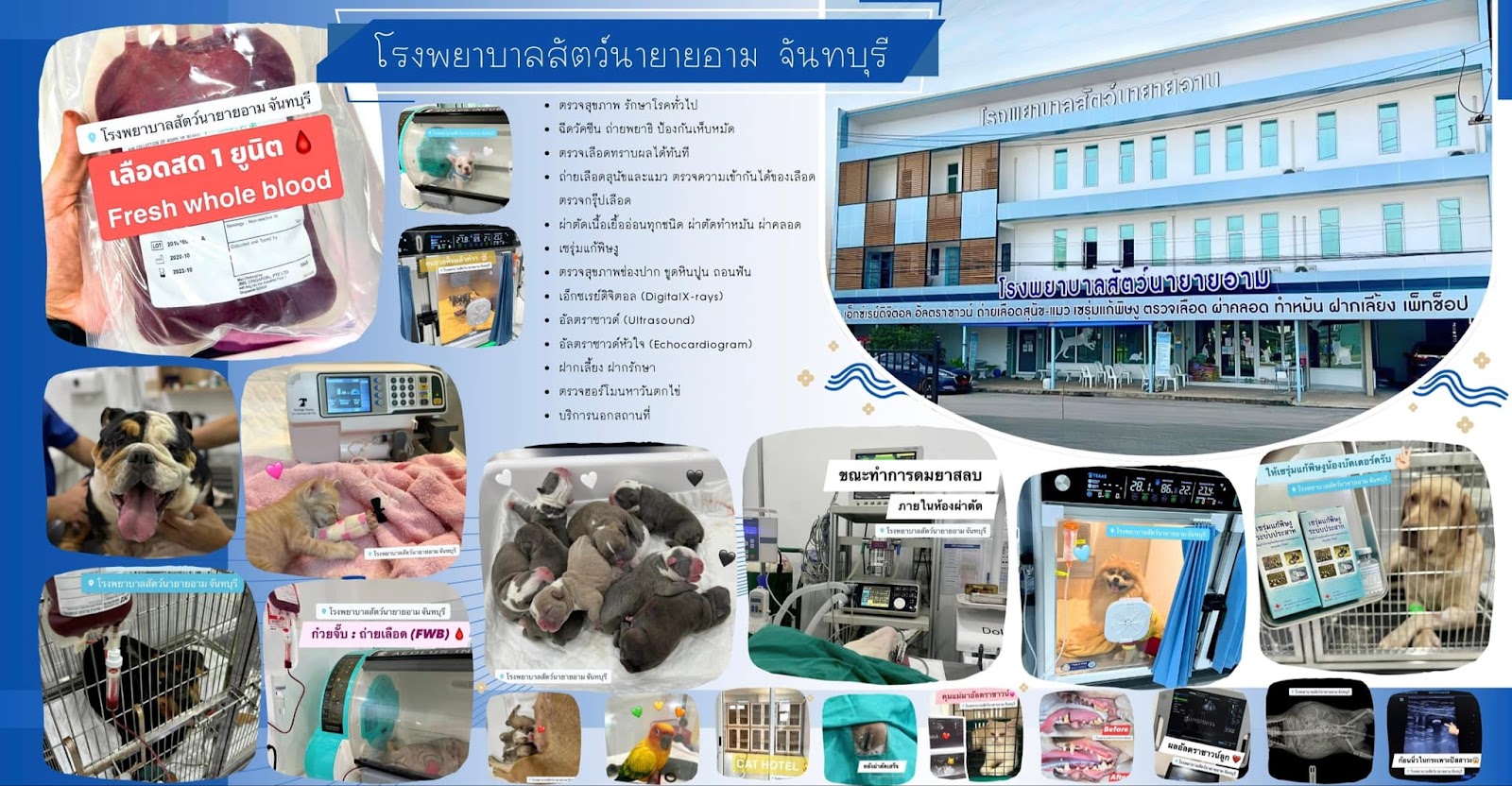 Nayaiarm animal hospital