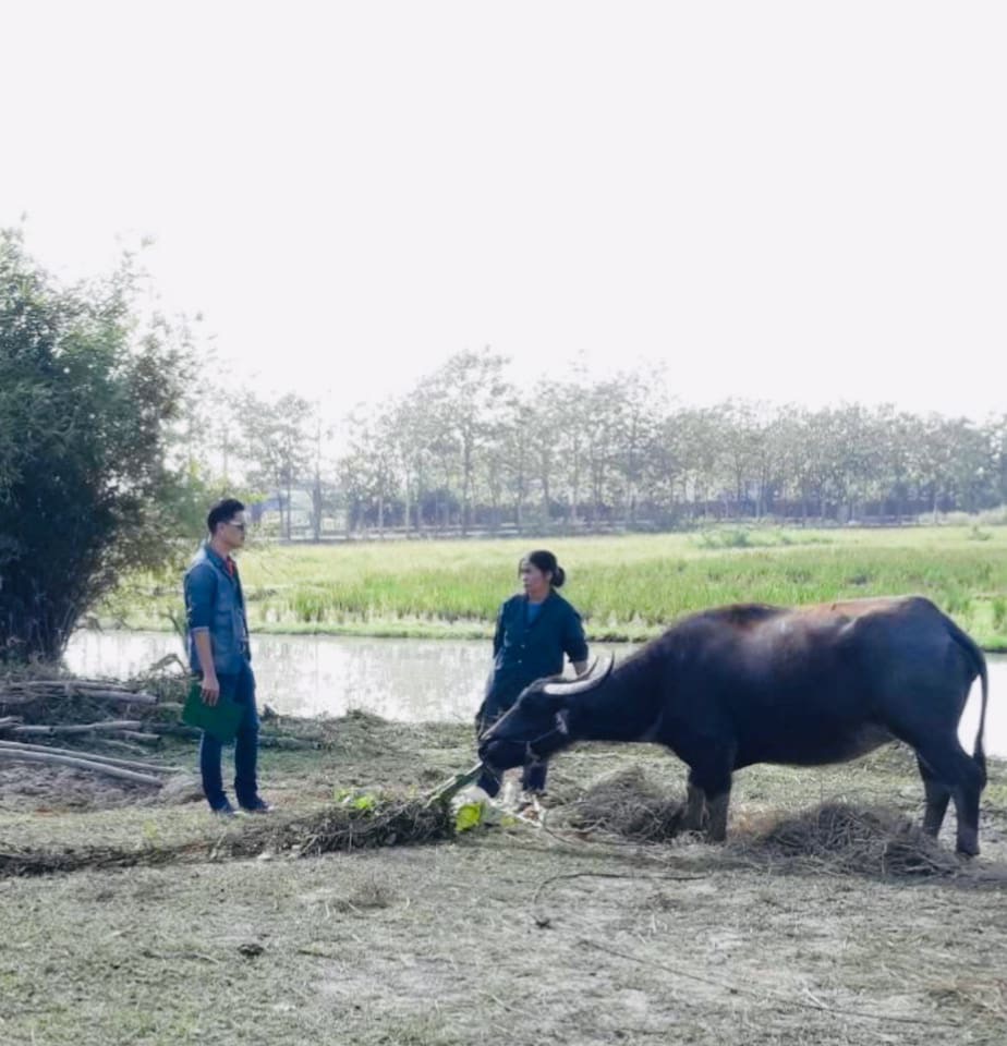 Hang Dong Veterinary Clinic