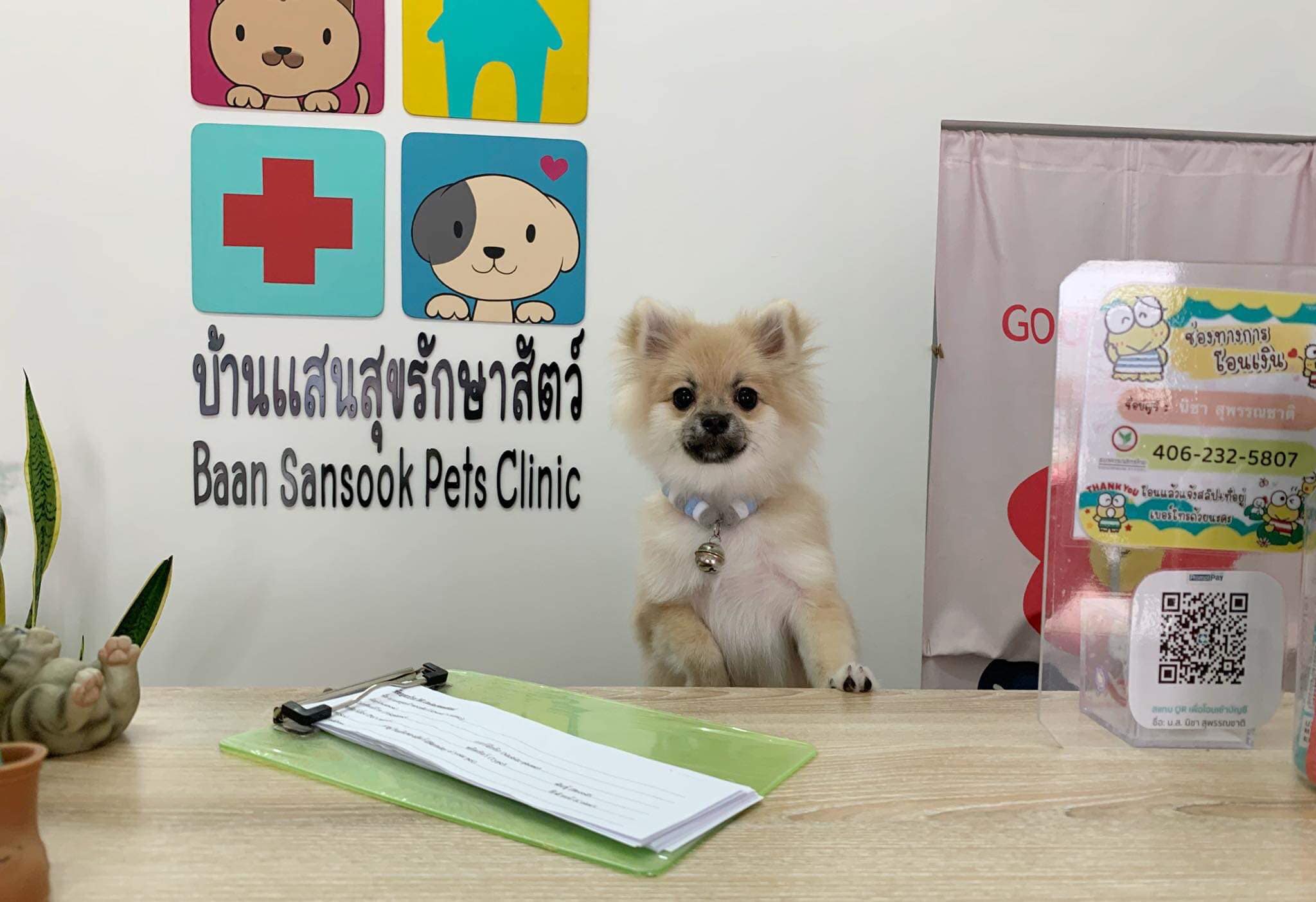 Sansuk House Animal Treatment