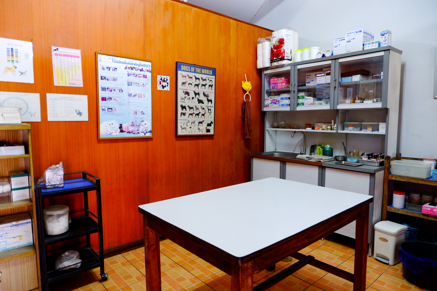 Mae Rim Clinic