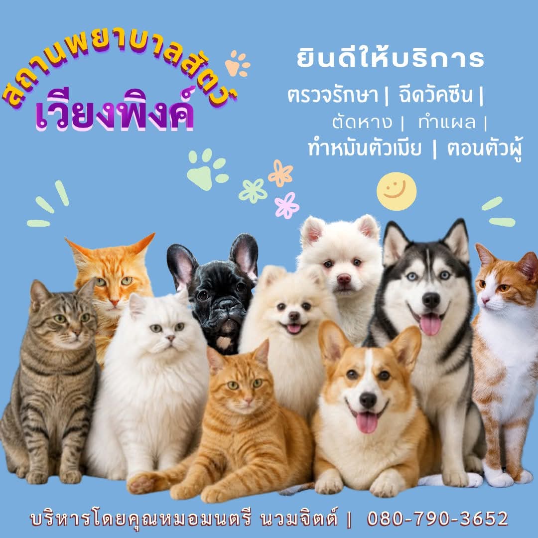 Wiang Ping Animal Hospital