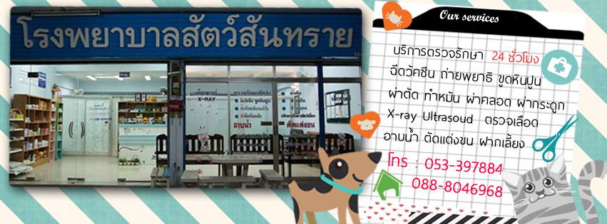 San Sai Animal Hospital