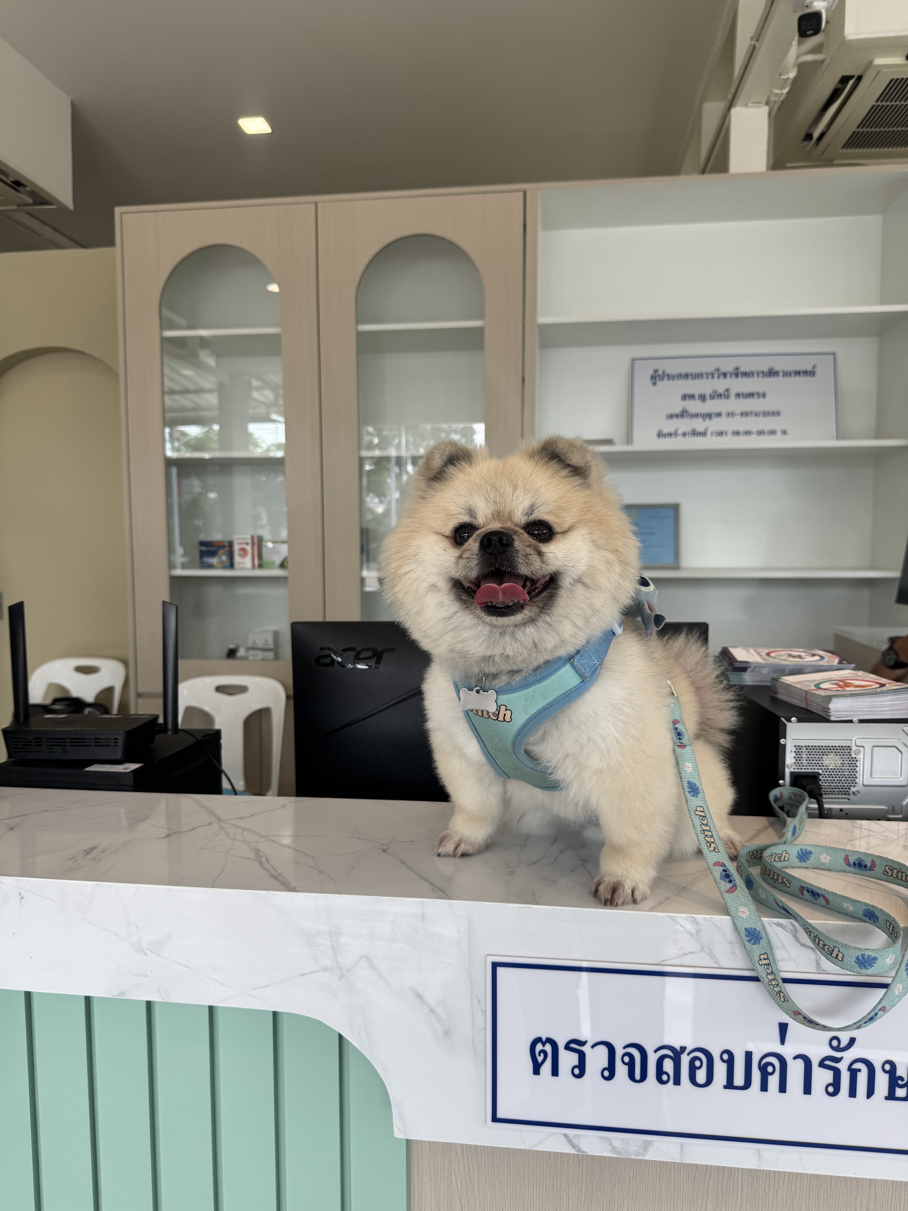 24 Maejo Animal Hospital