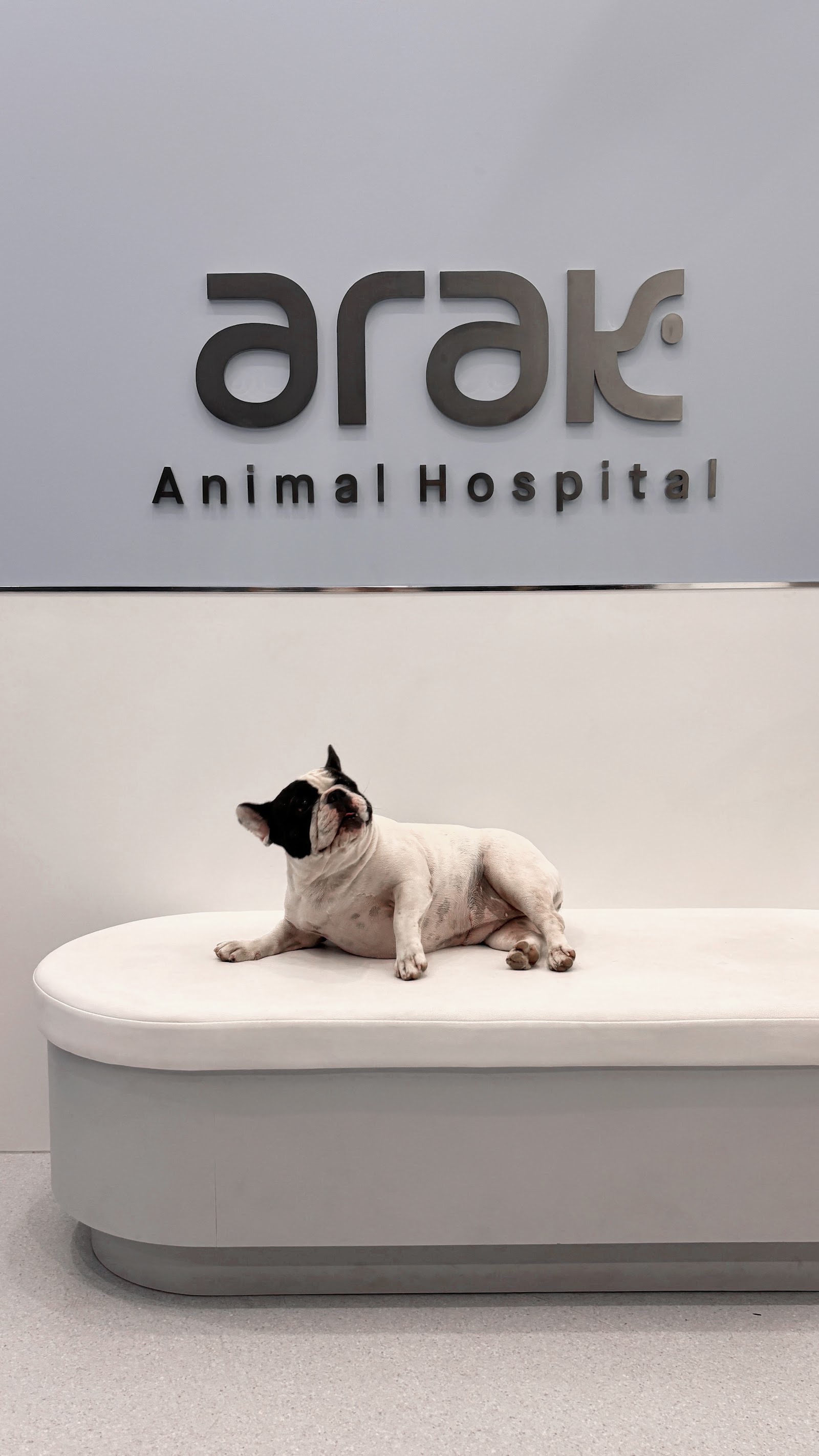 Arak Animal Hospital Chiang Mai