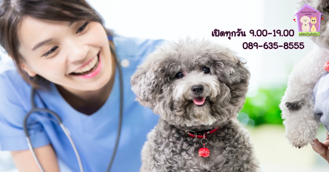 BANN HUG SUD Animal Clinic