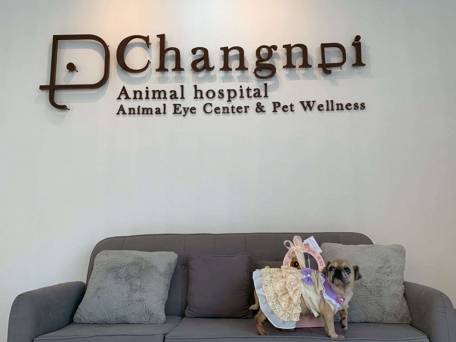 Changnoi Animal Hospital : Animal Eye Center & Pet Wellness