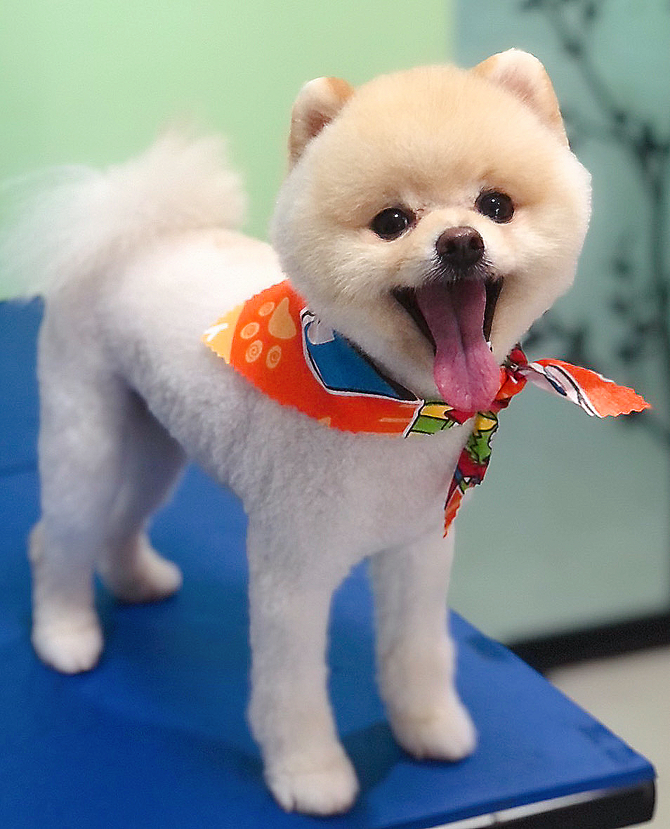 Changphuak Veterinary