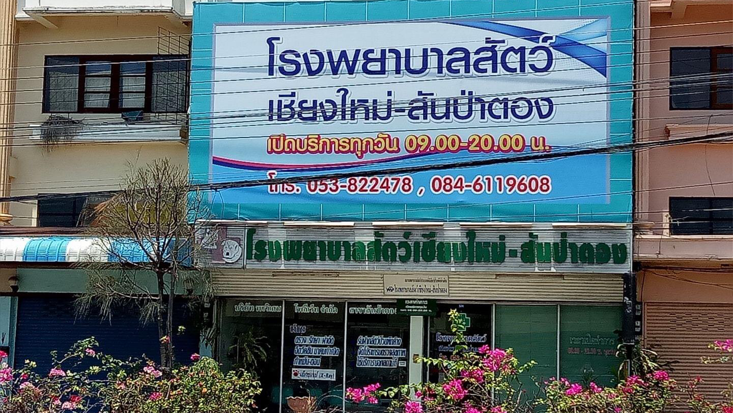 Chiang Mai-Sanpatong Animal Hospital