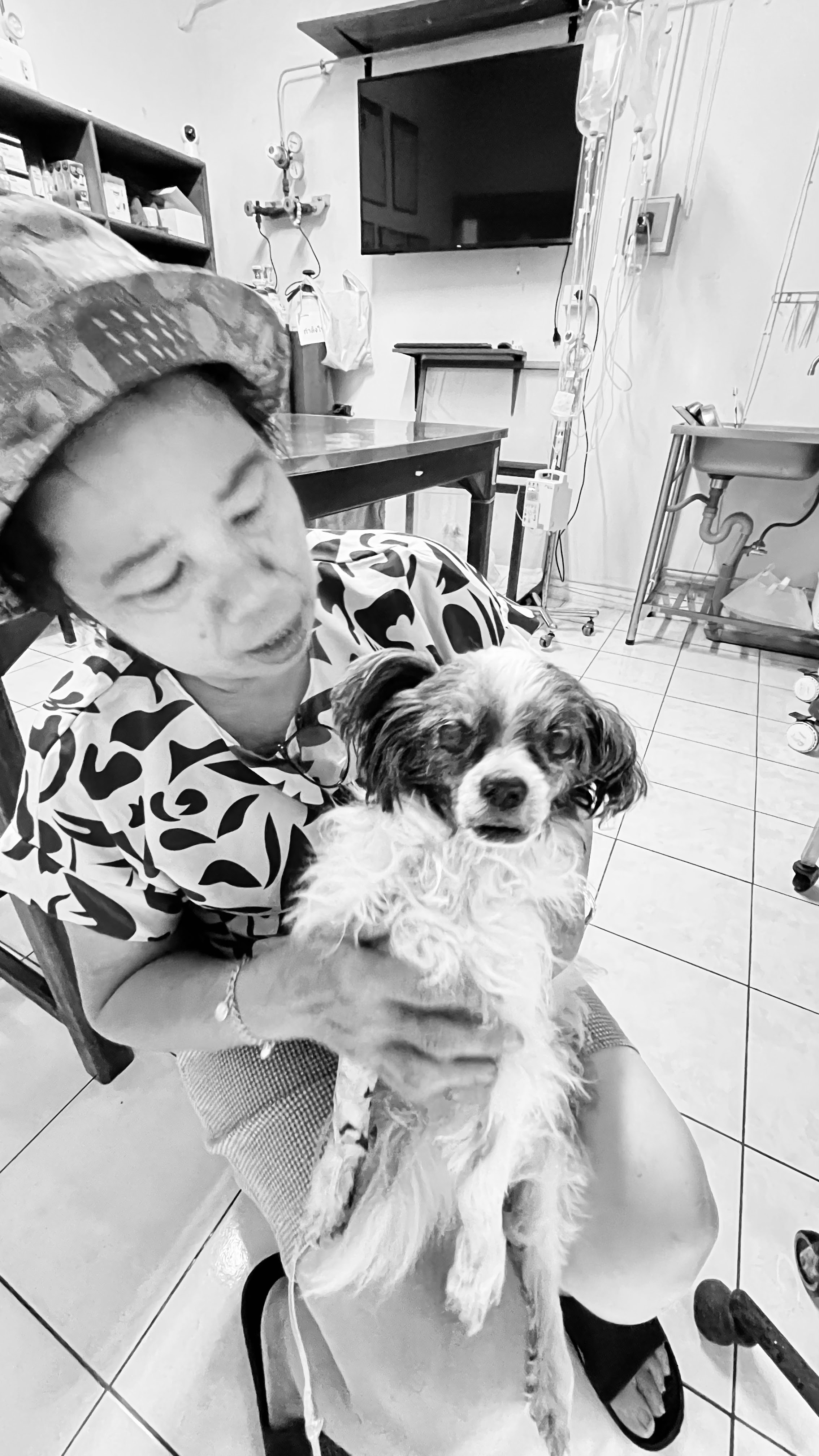 Chiang Mai-Sanpatong Animal Hospital