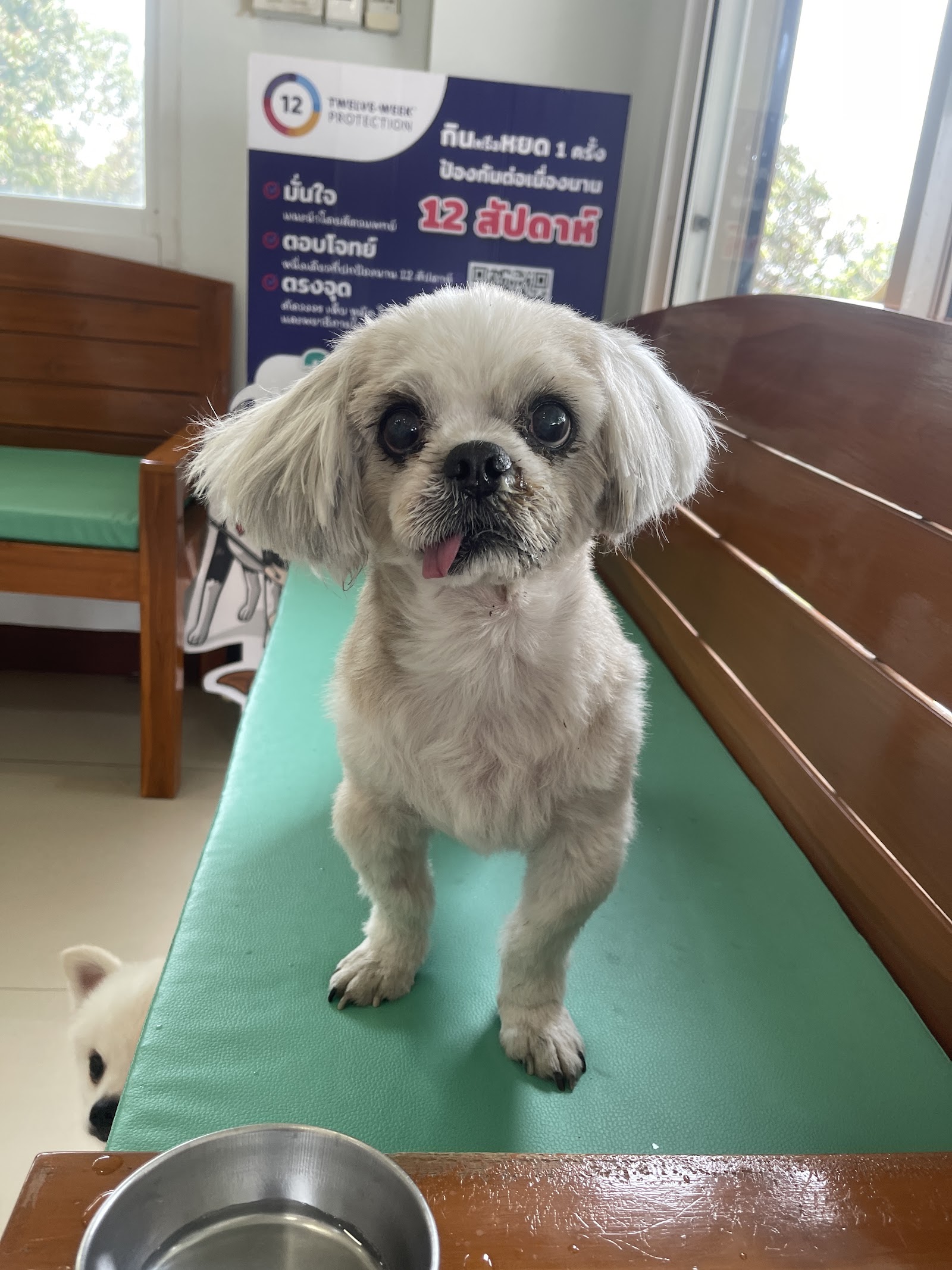 Donkaew Animal Hospital