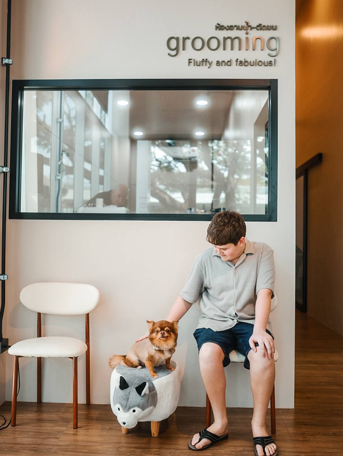 LUMO Pet Care & Wellness Clinic