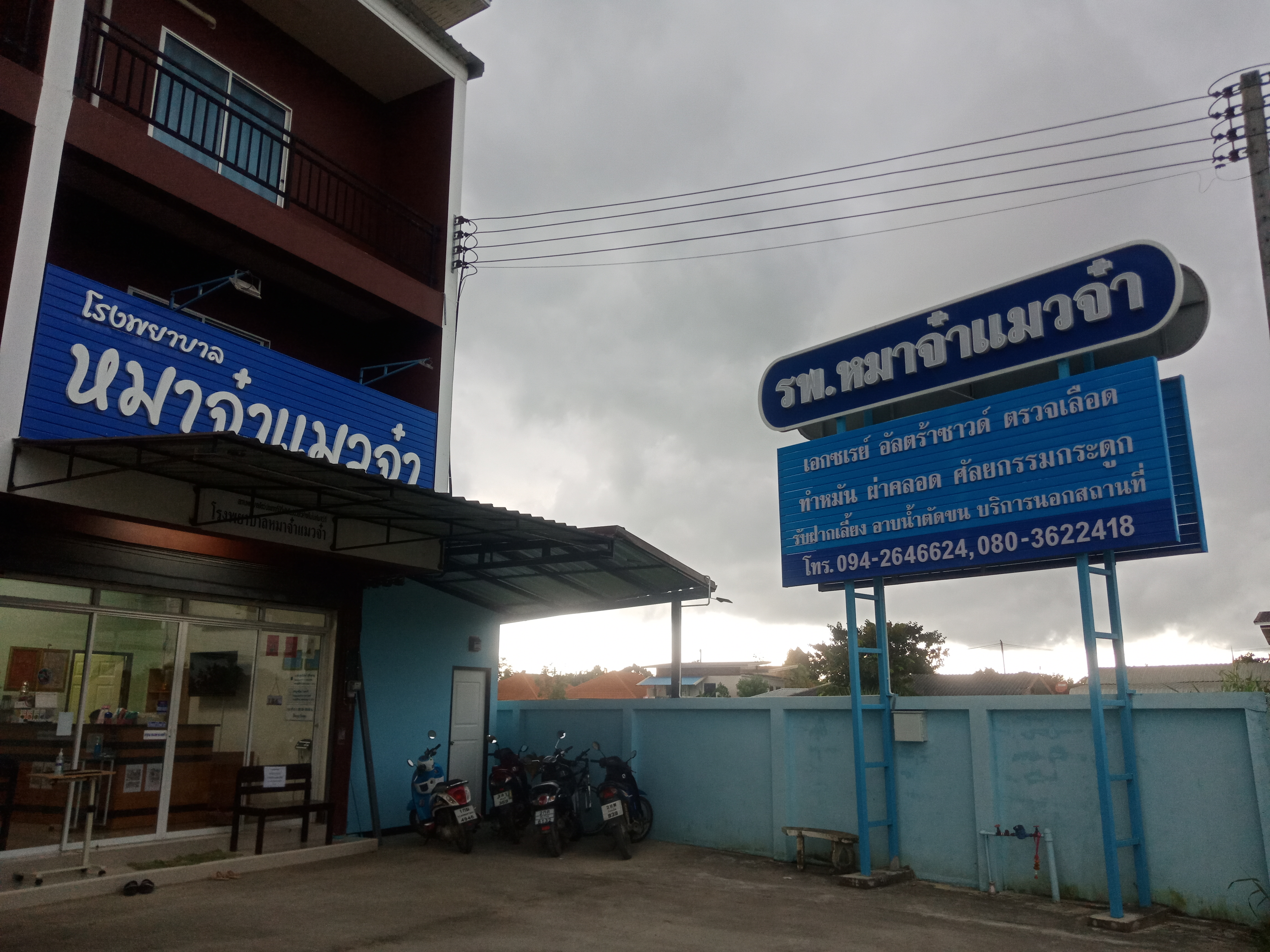 majamaewja animal hospital