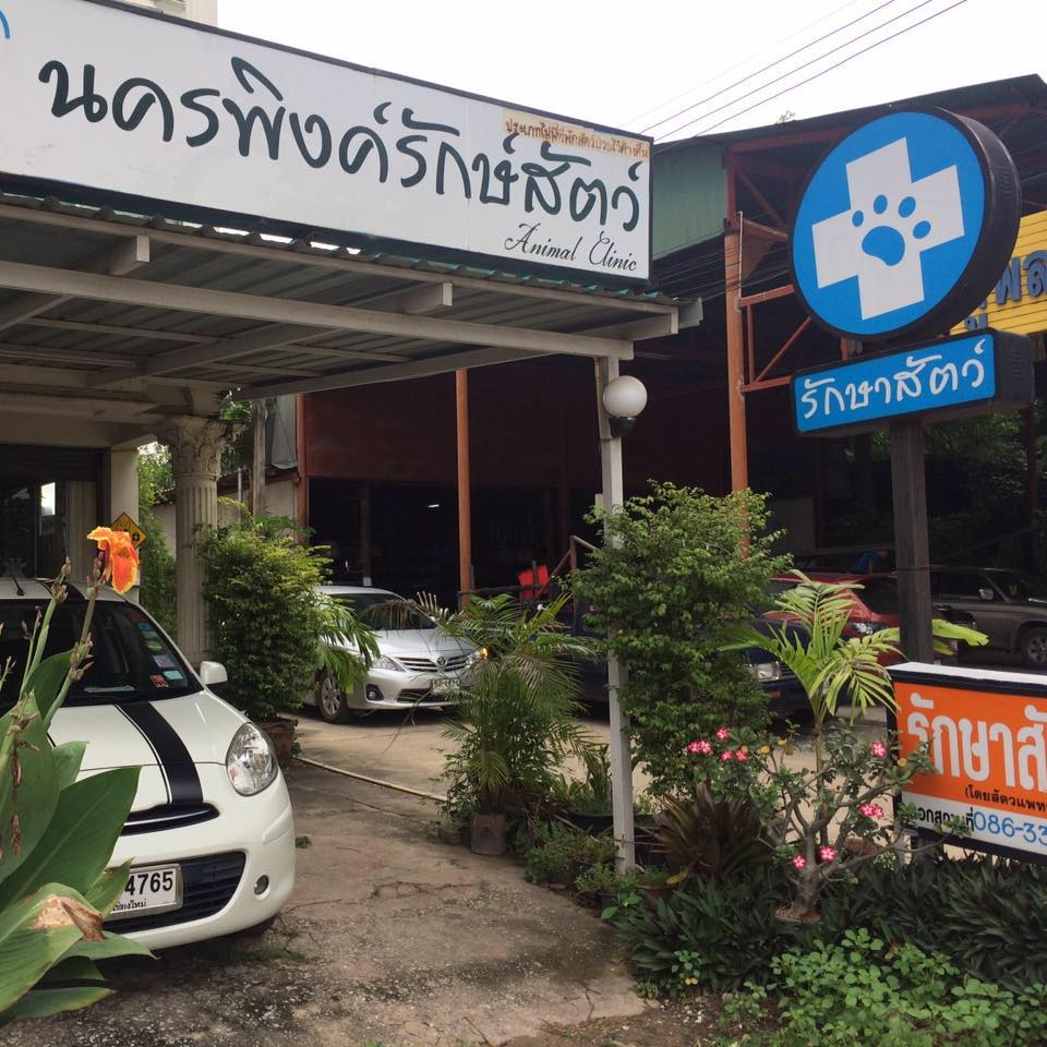 Nakornping animal clinic