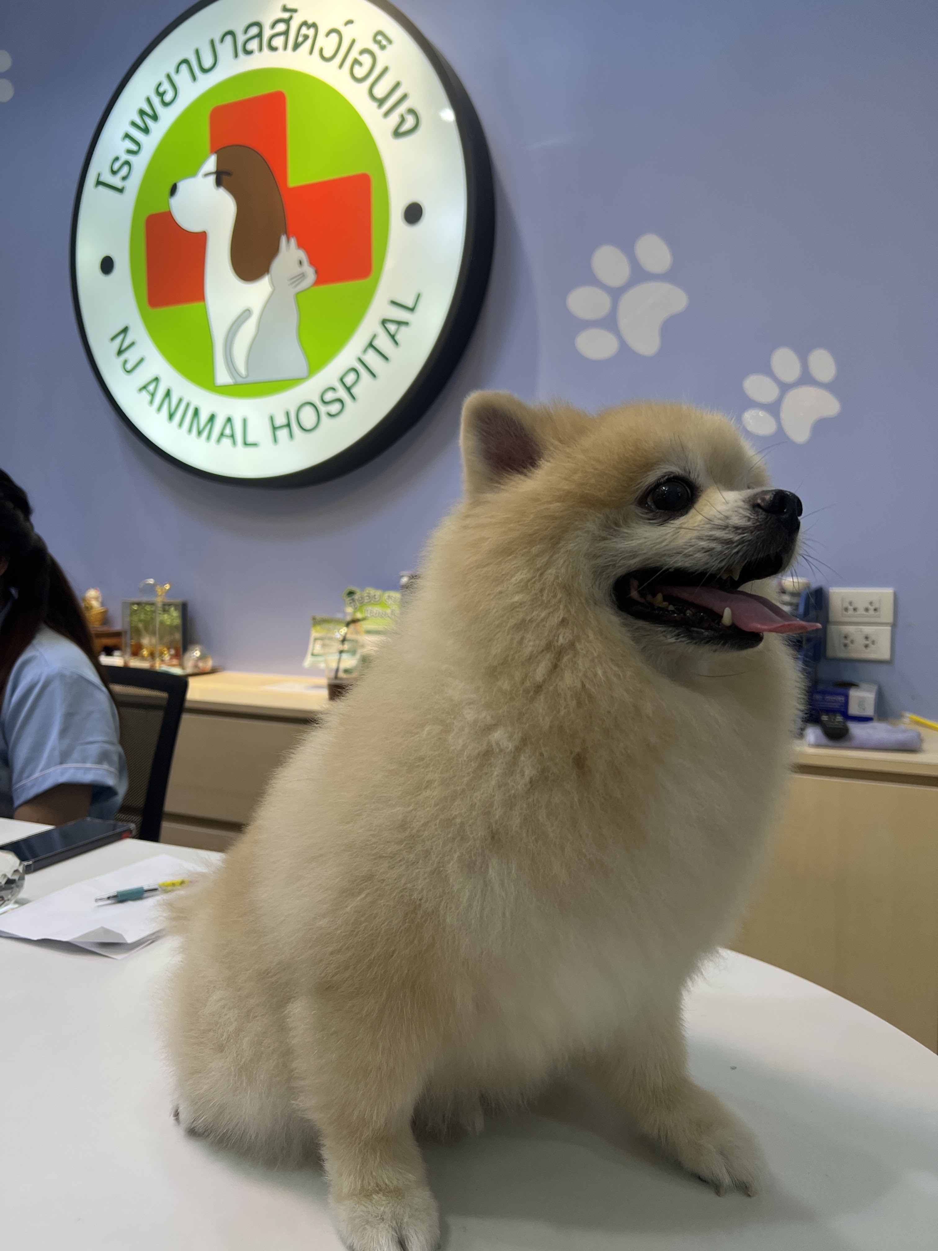 NJ (NJ Animal Hospital)
