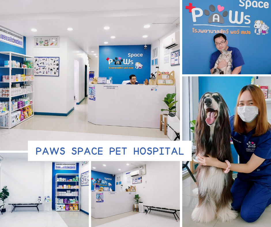 Paws Space Pet Hospital