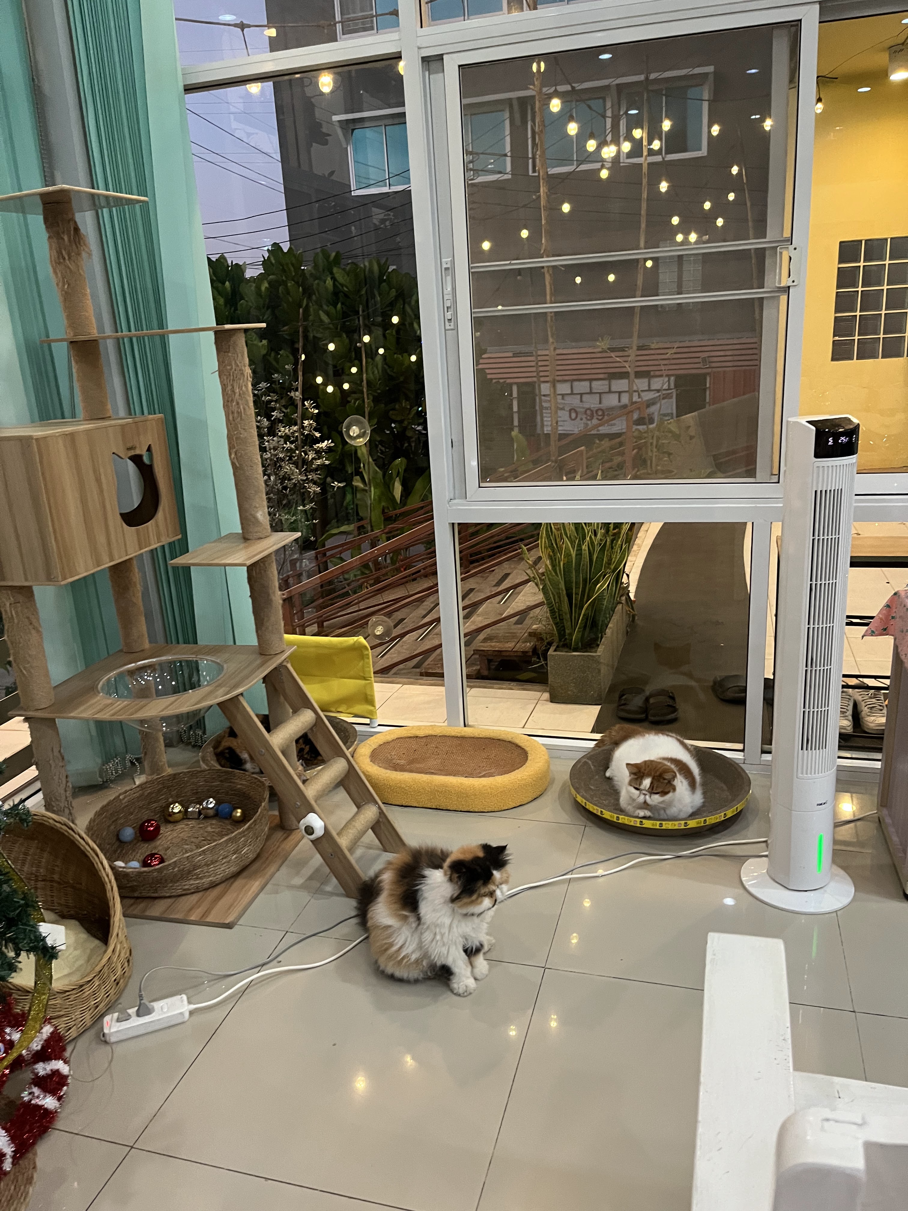 Pets 2 Care