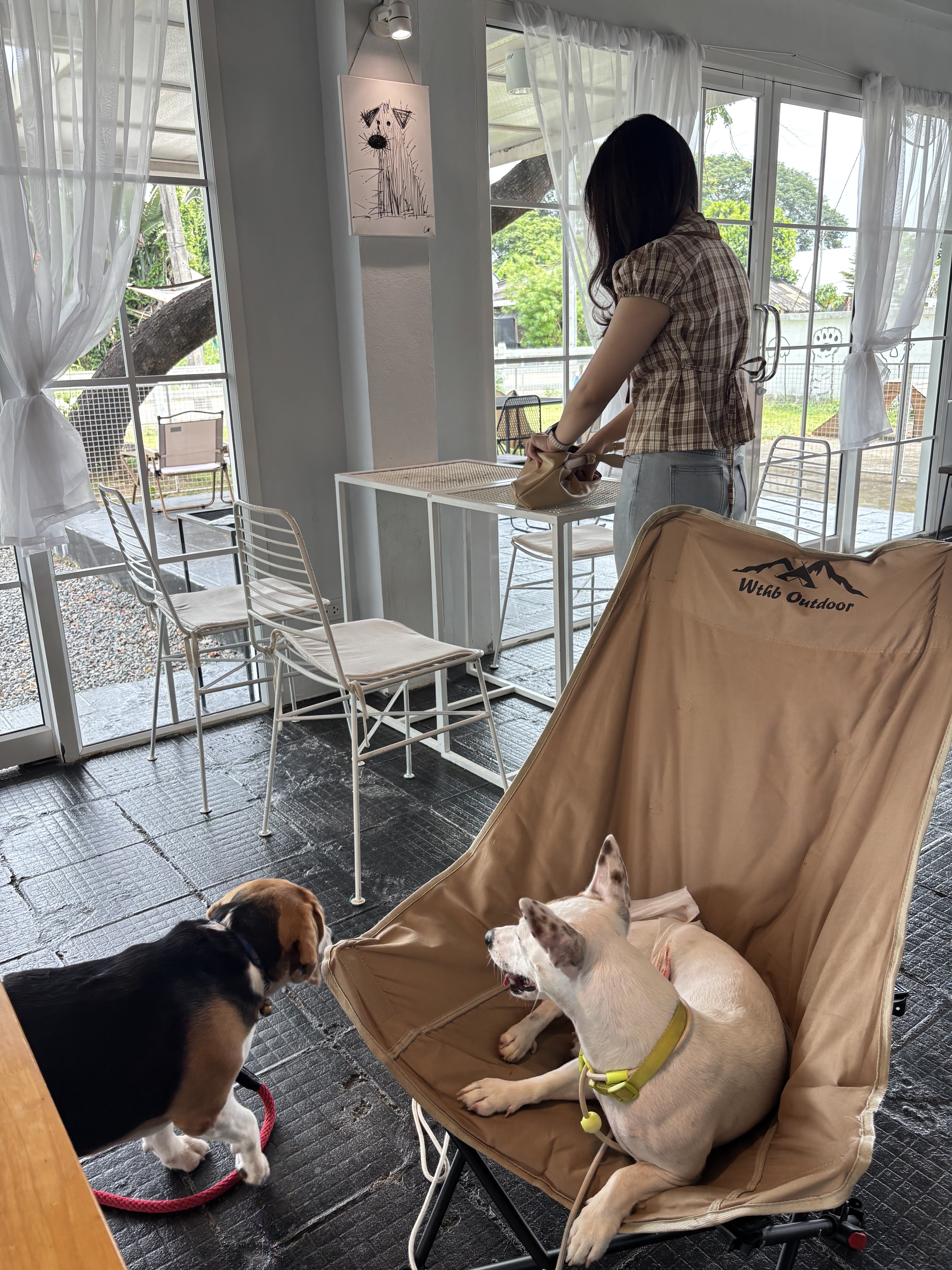 Starbarks Cafe and Playpark