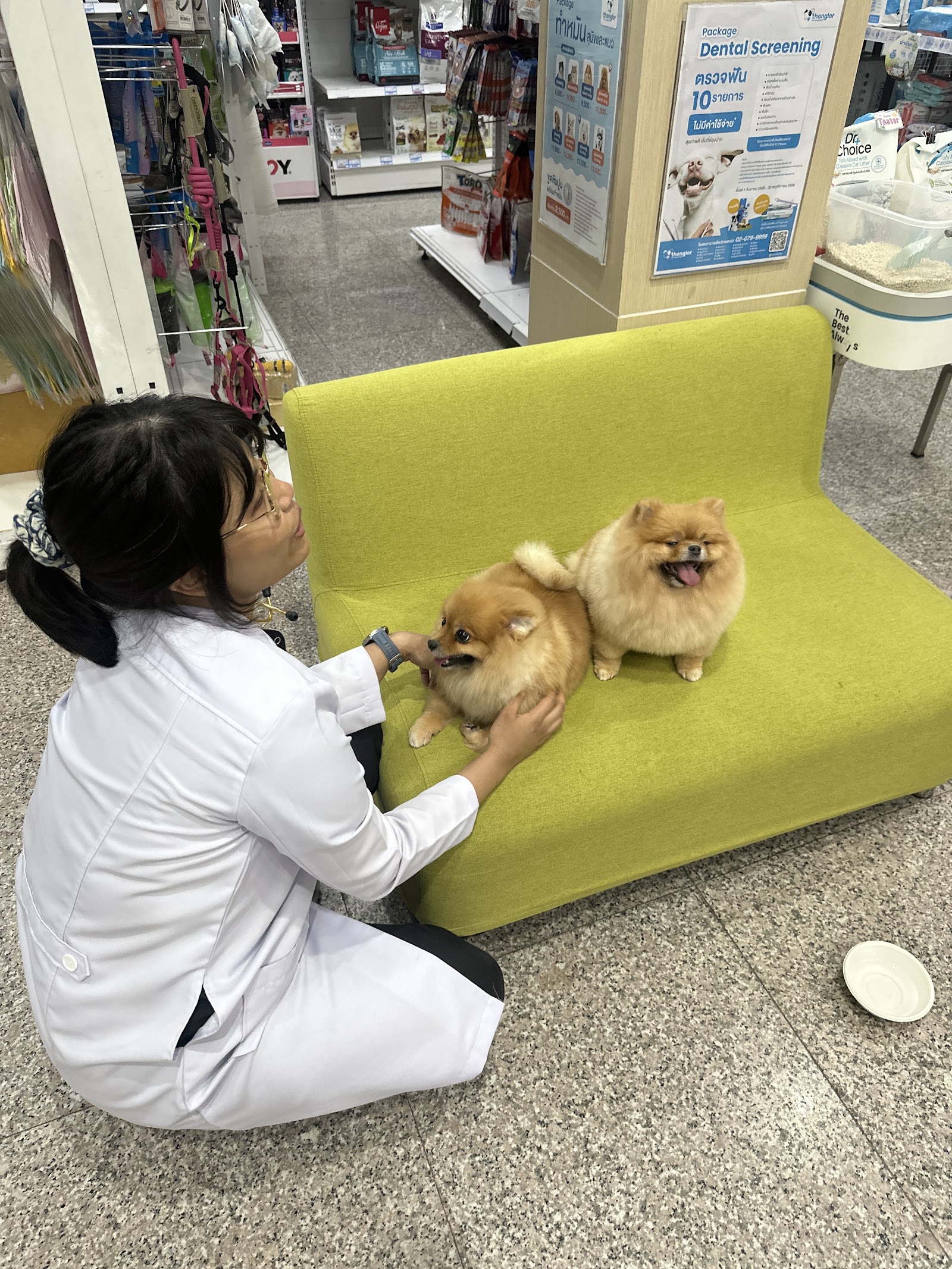 Thonglor Pet Hospital Chiang Mai