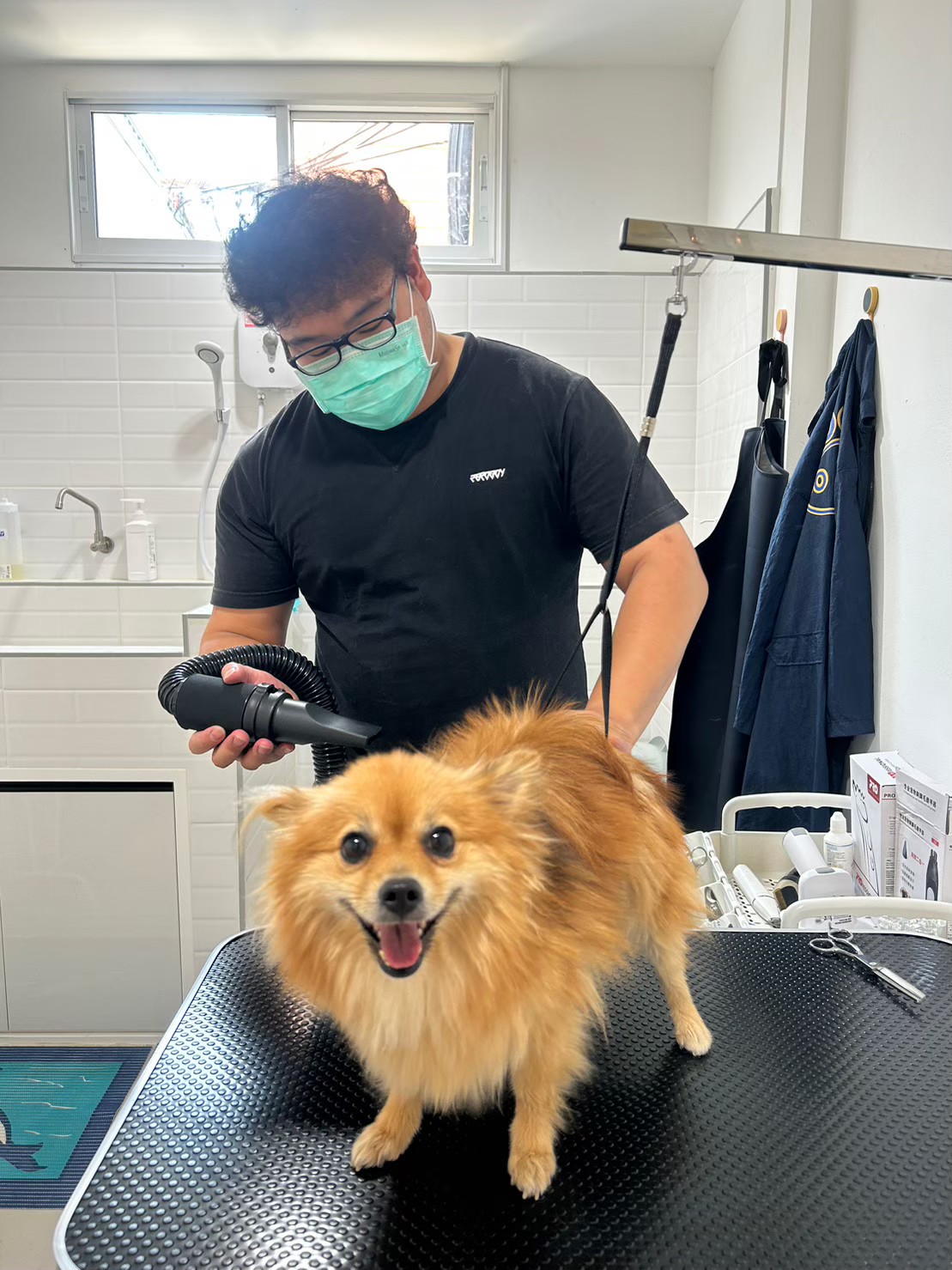 What The Pet : Pet Wellness Center