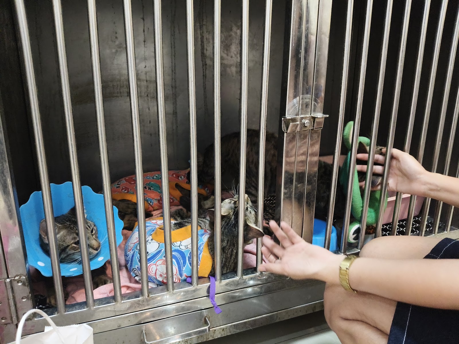 Dr Jah Animal Hospital