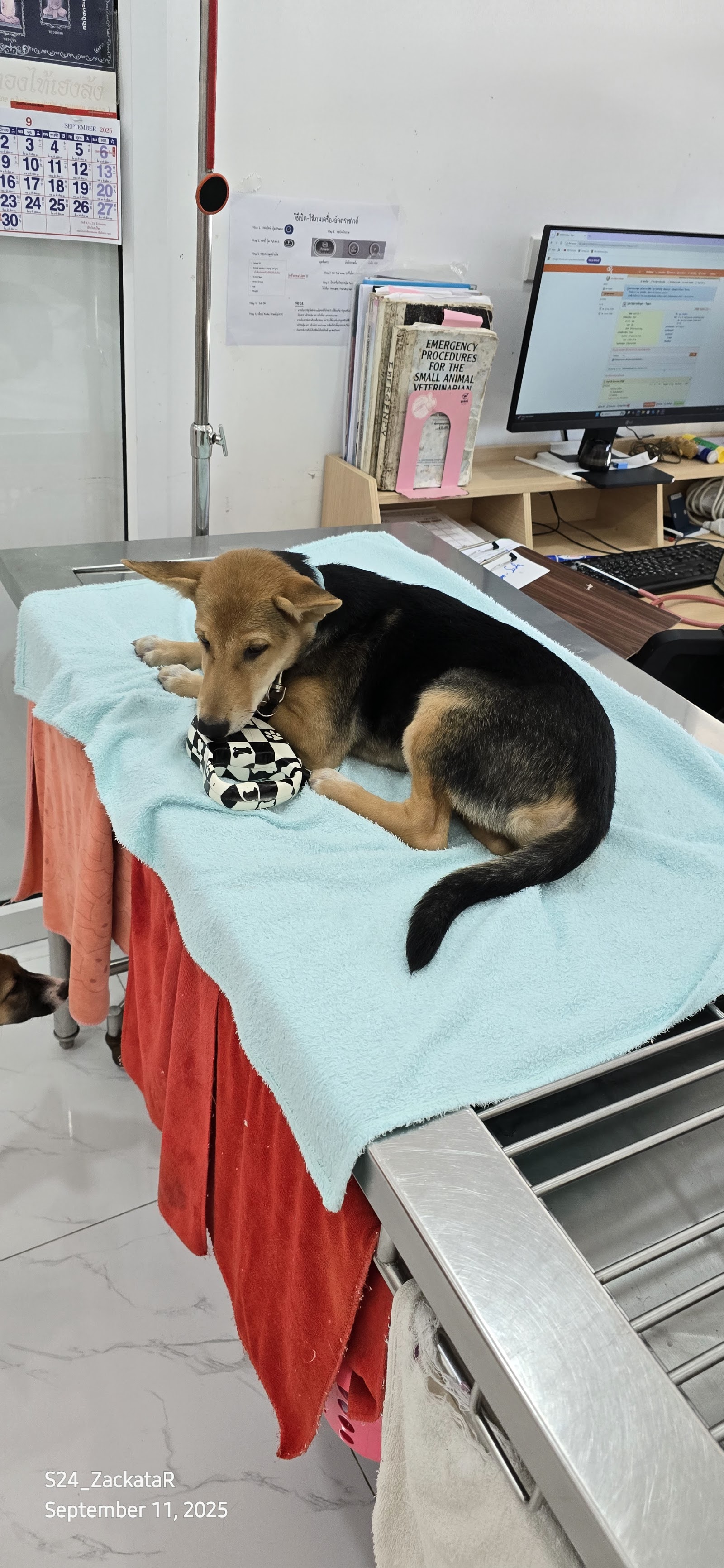Huay Yai Pet Hospital