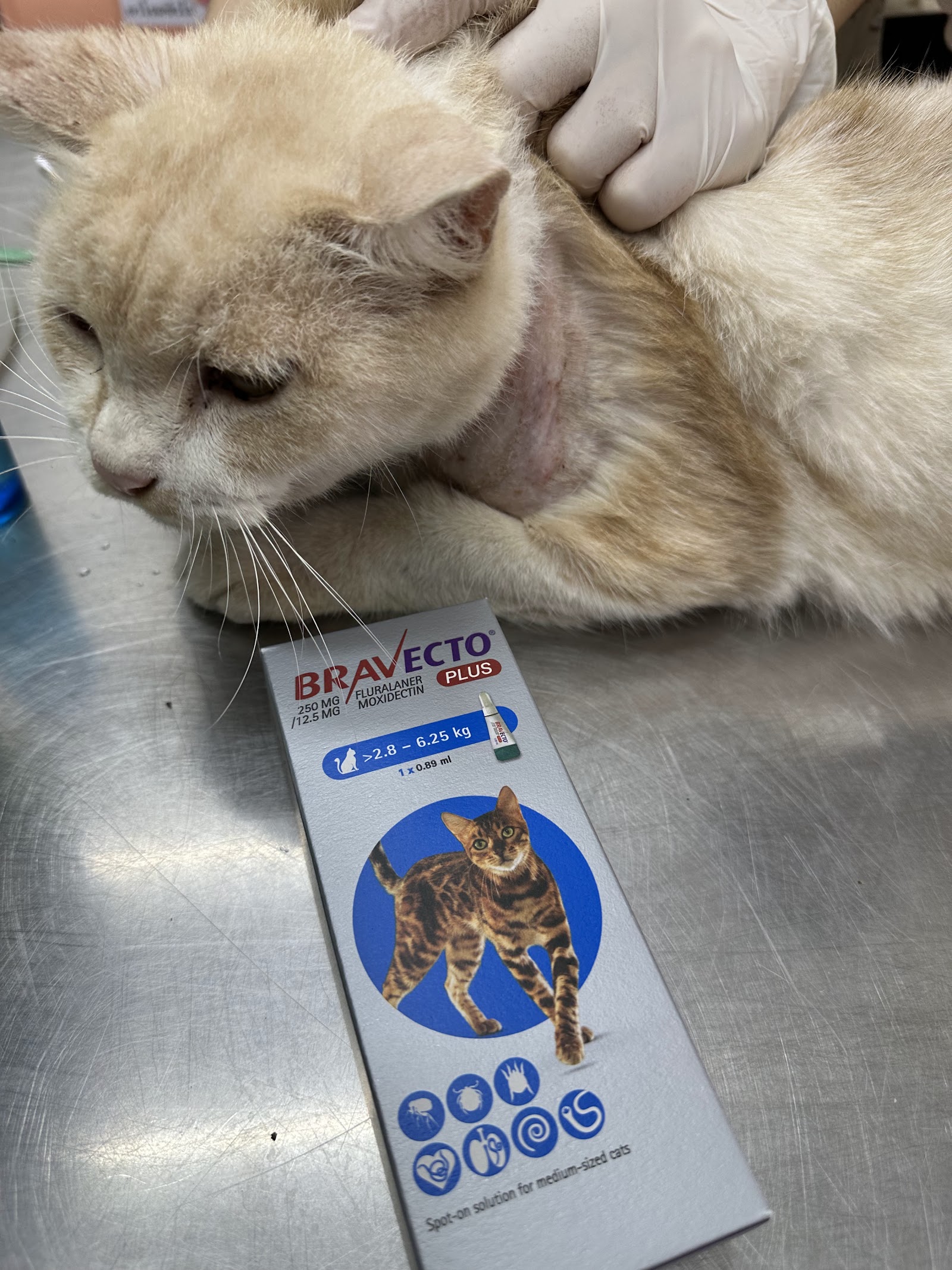 Nana Pet Clinic