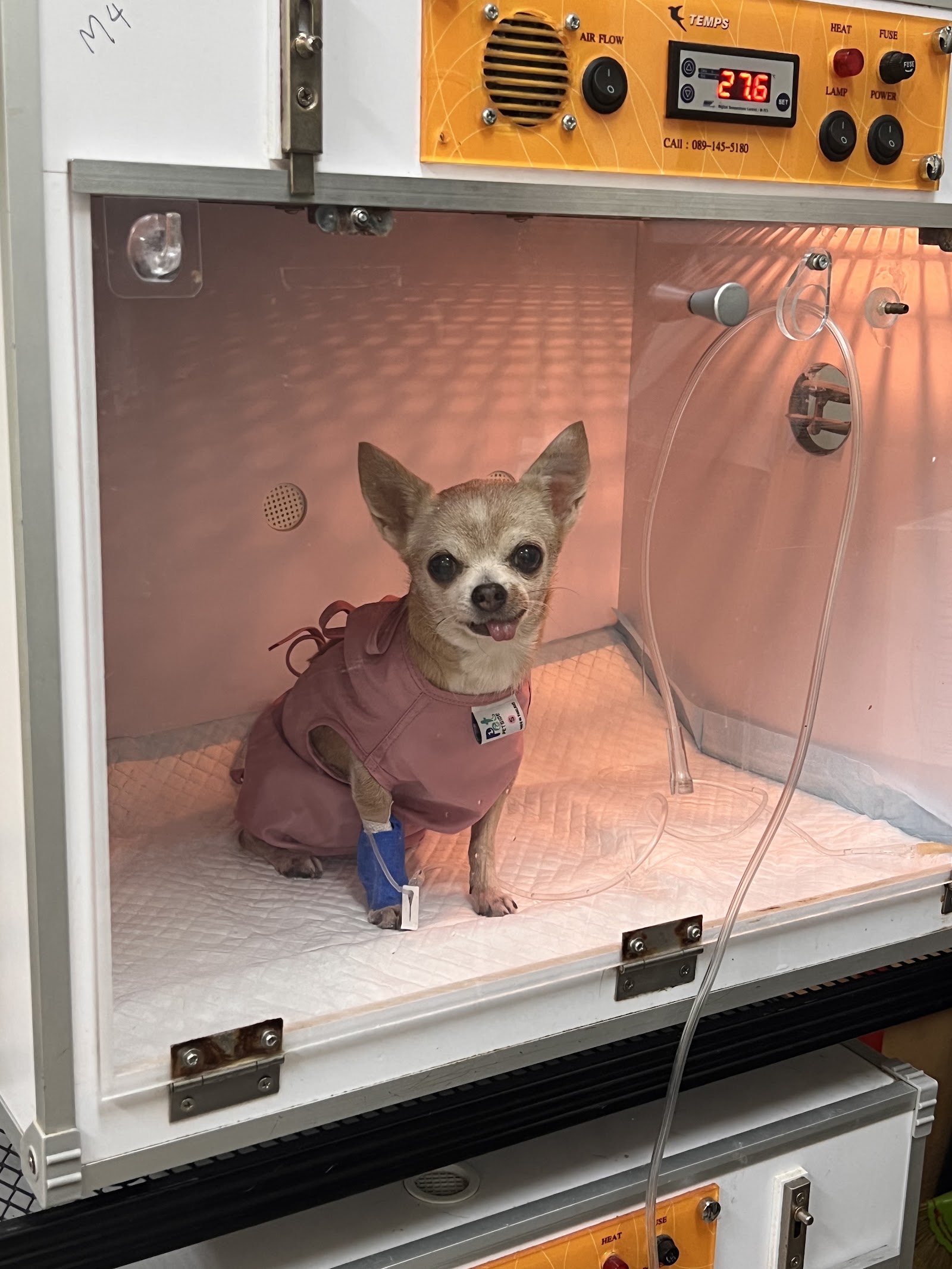 Pet Friends Animal Hospital