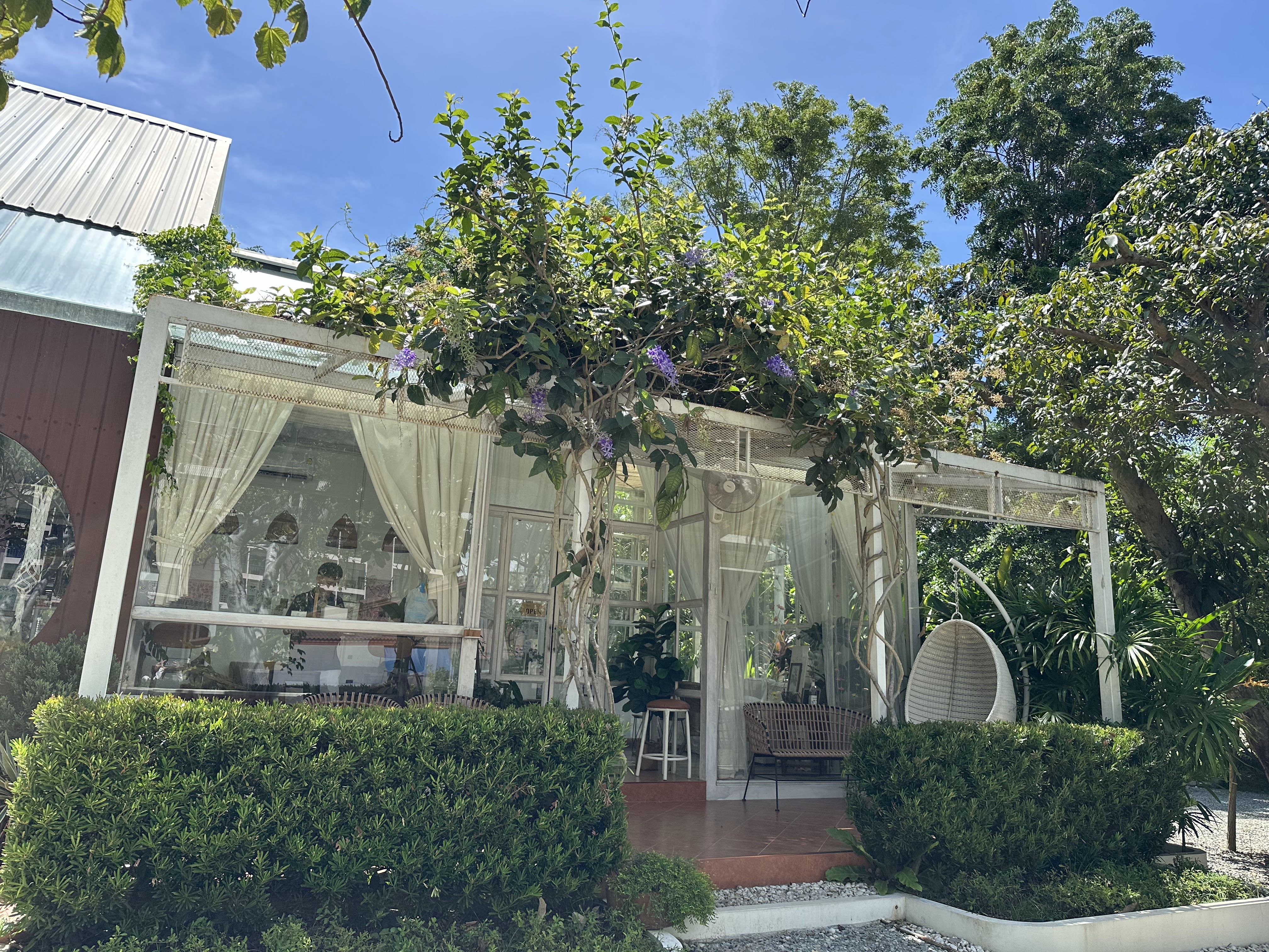 Seaweed Café Pattaya
